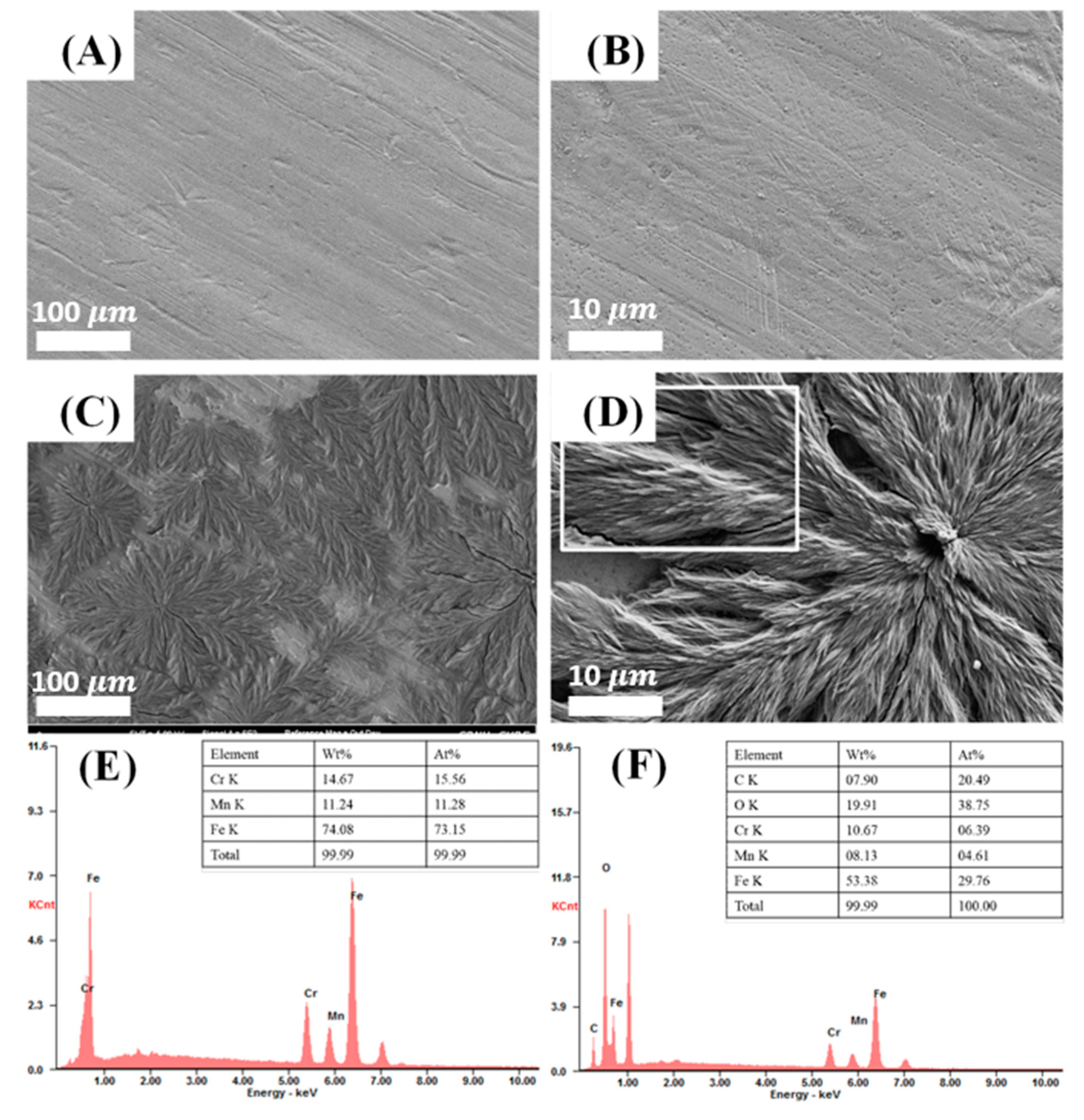Polymers 11 00584 g002