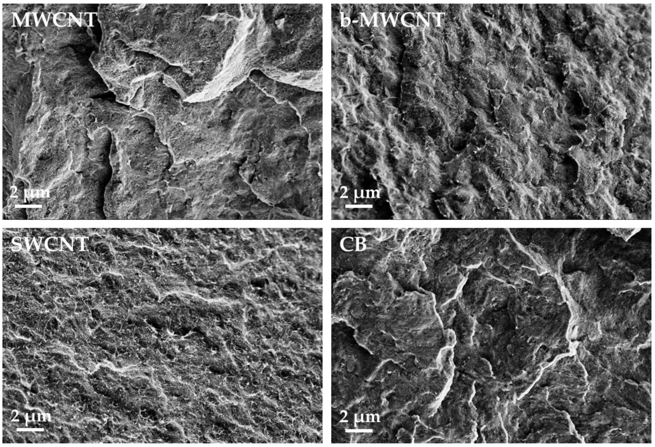 Polymers 11 00591 g004