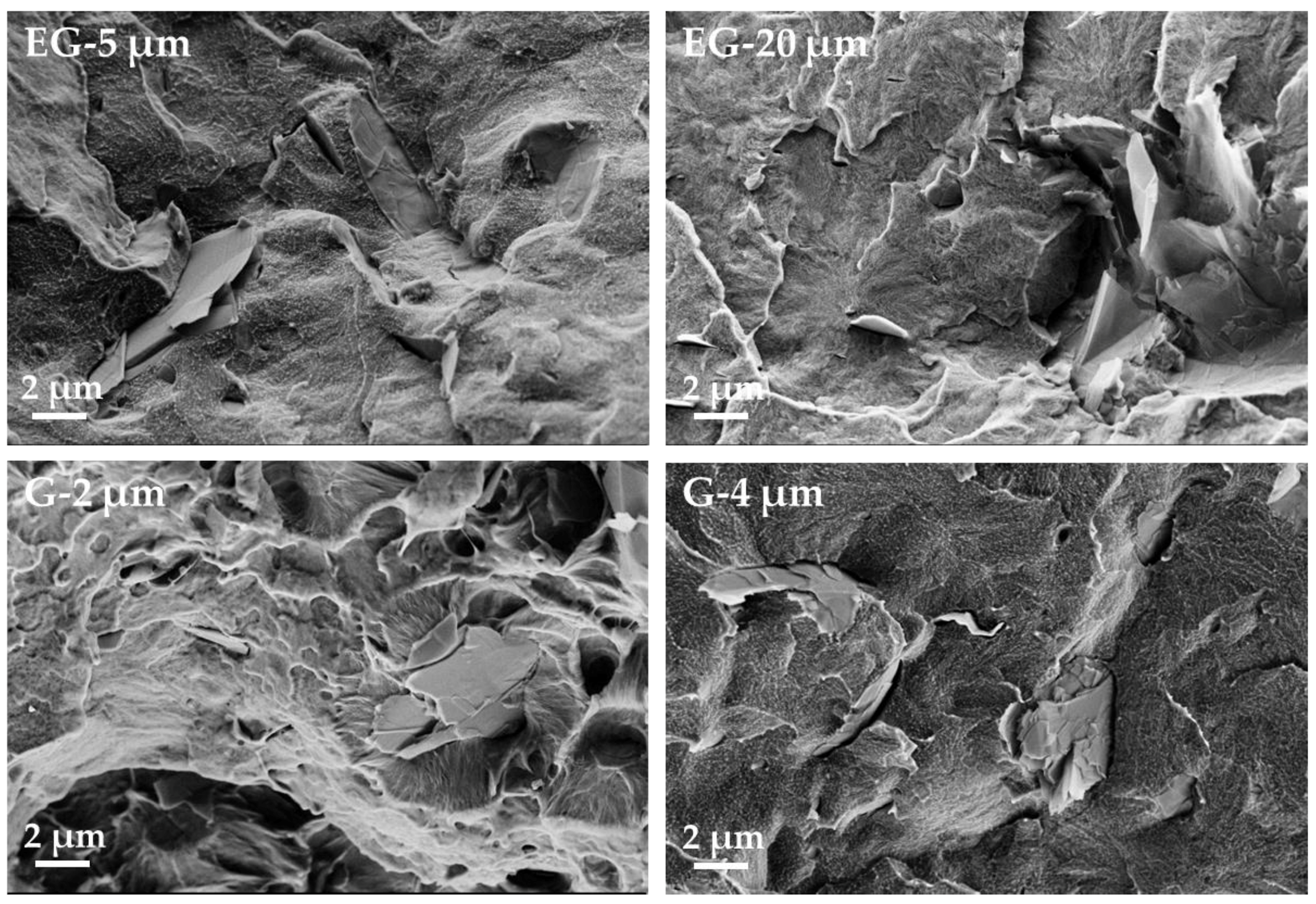 Polymers 11 00591 g007