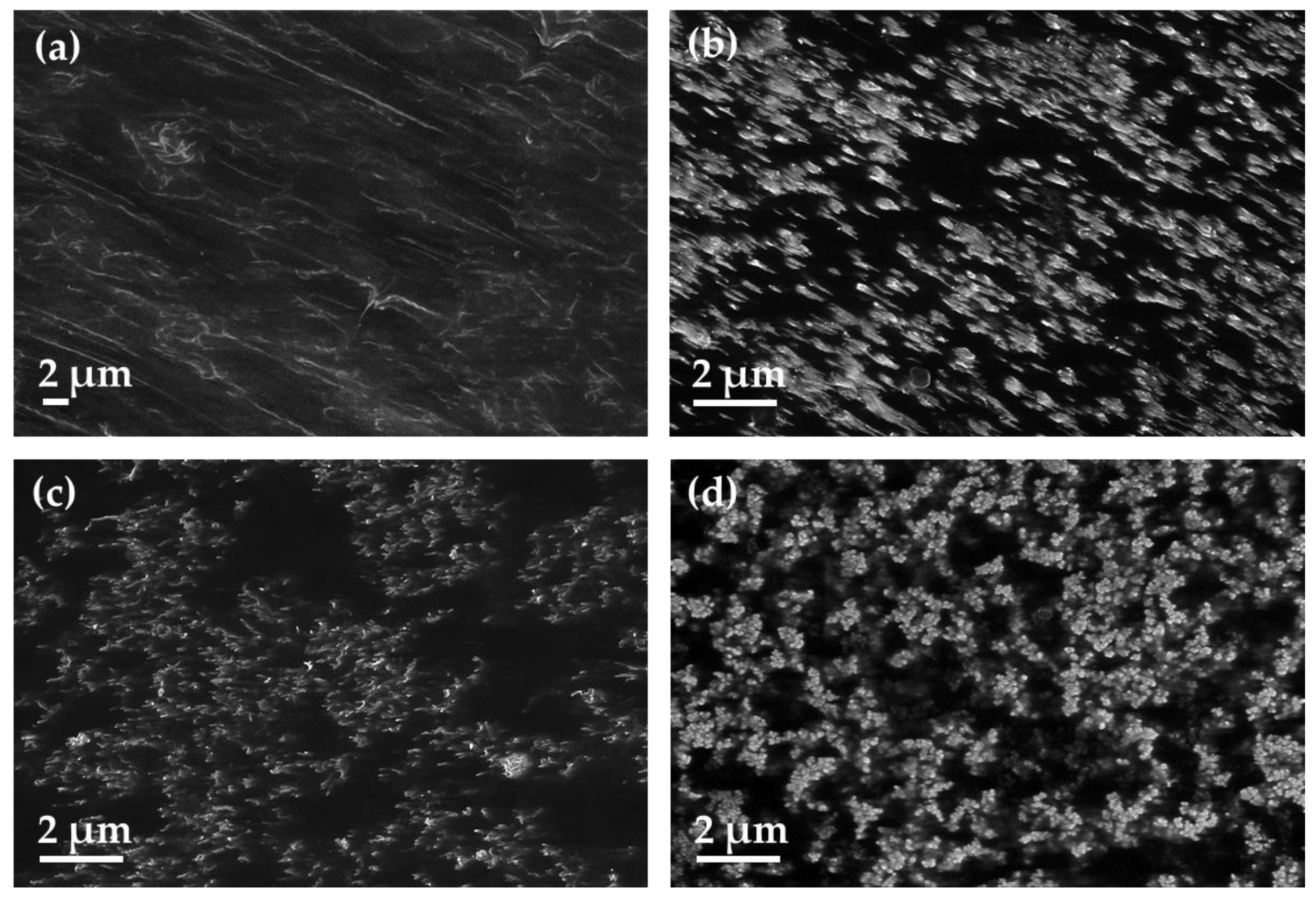 Polymers 11 00591 g013