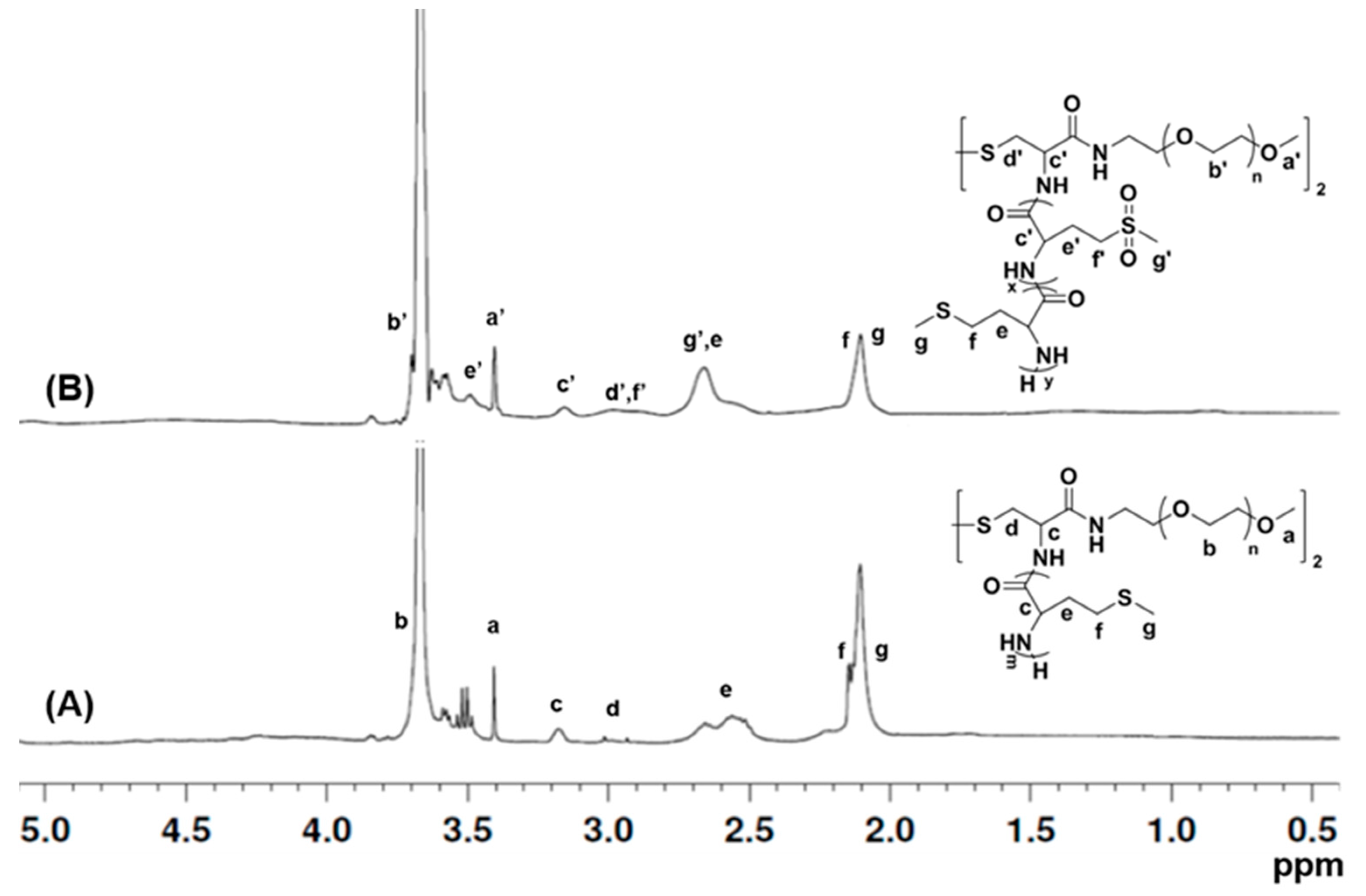Polymers 11 00604 g001