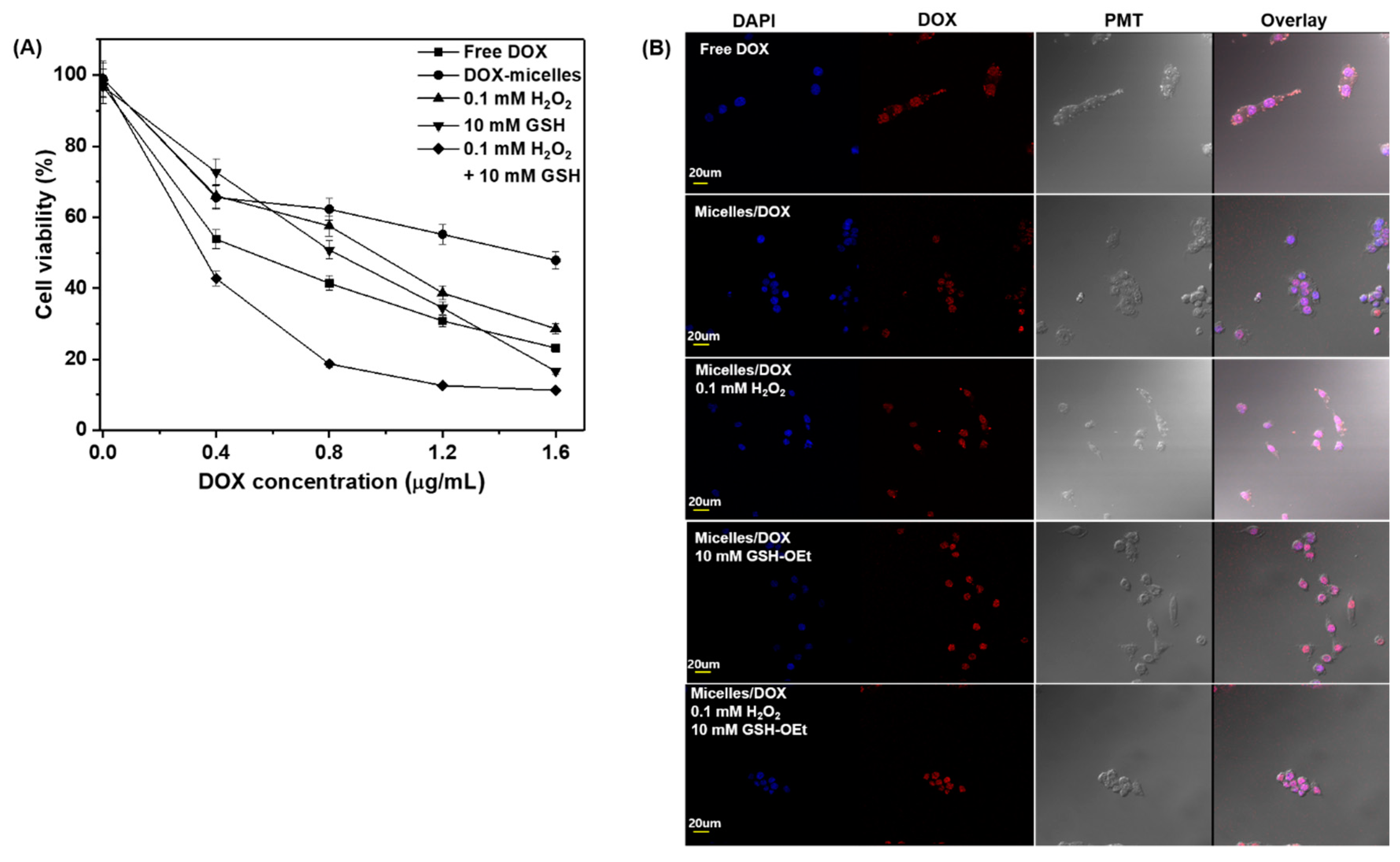 Polymers 11 00604 g006