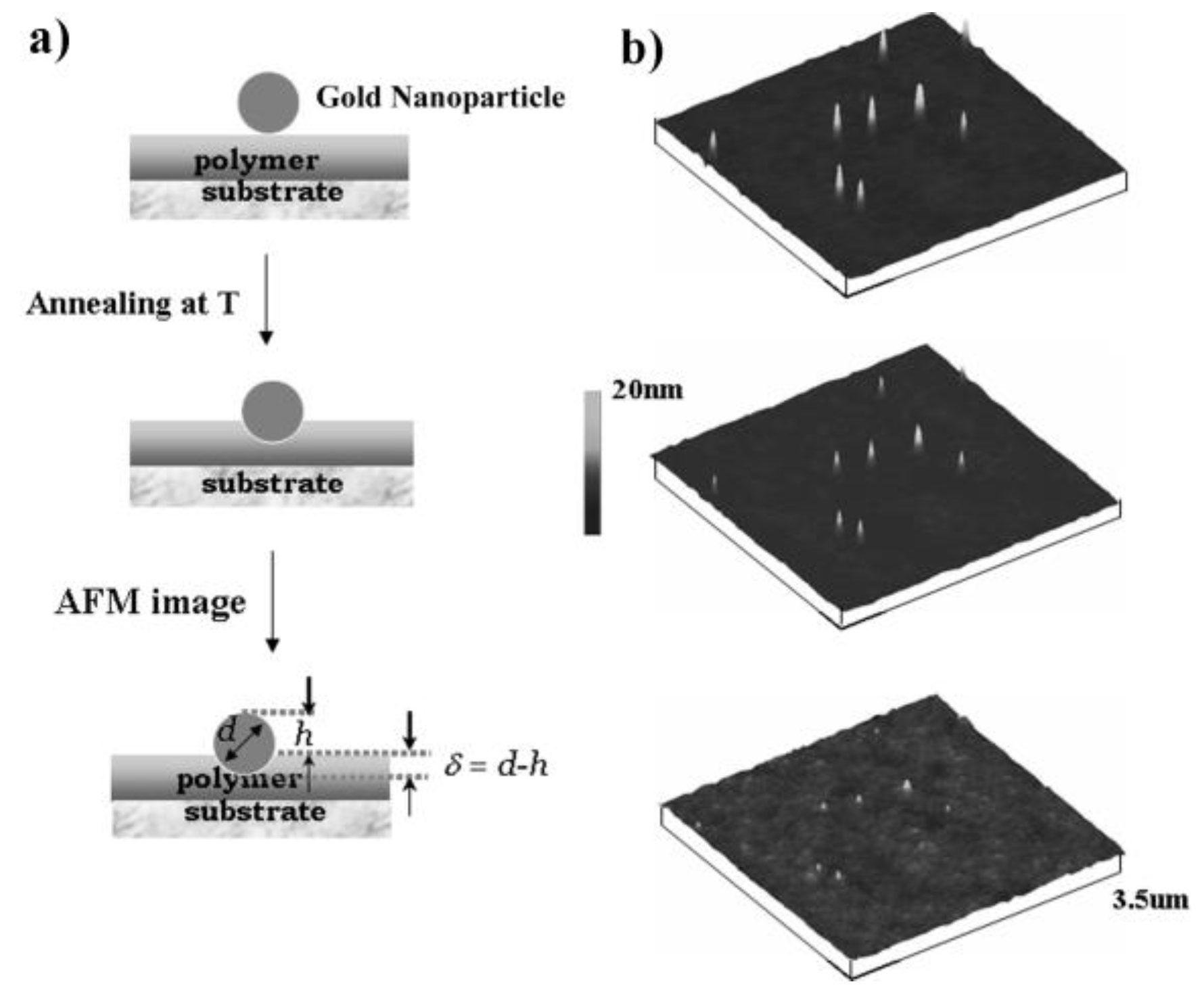 Polymers 11 00617 g003