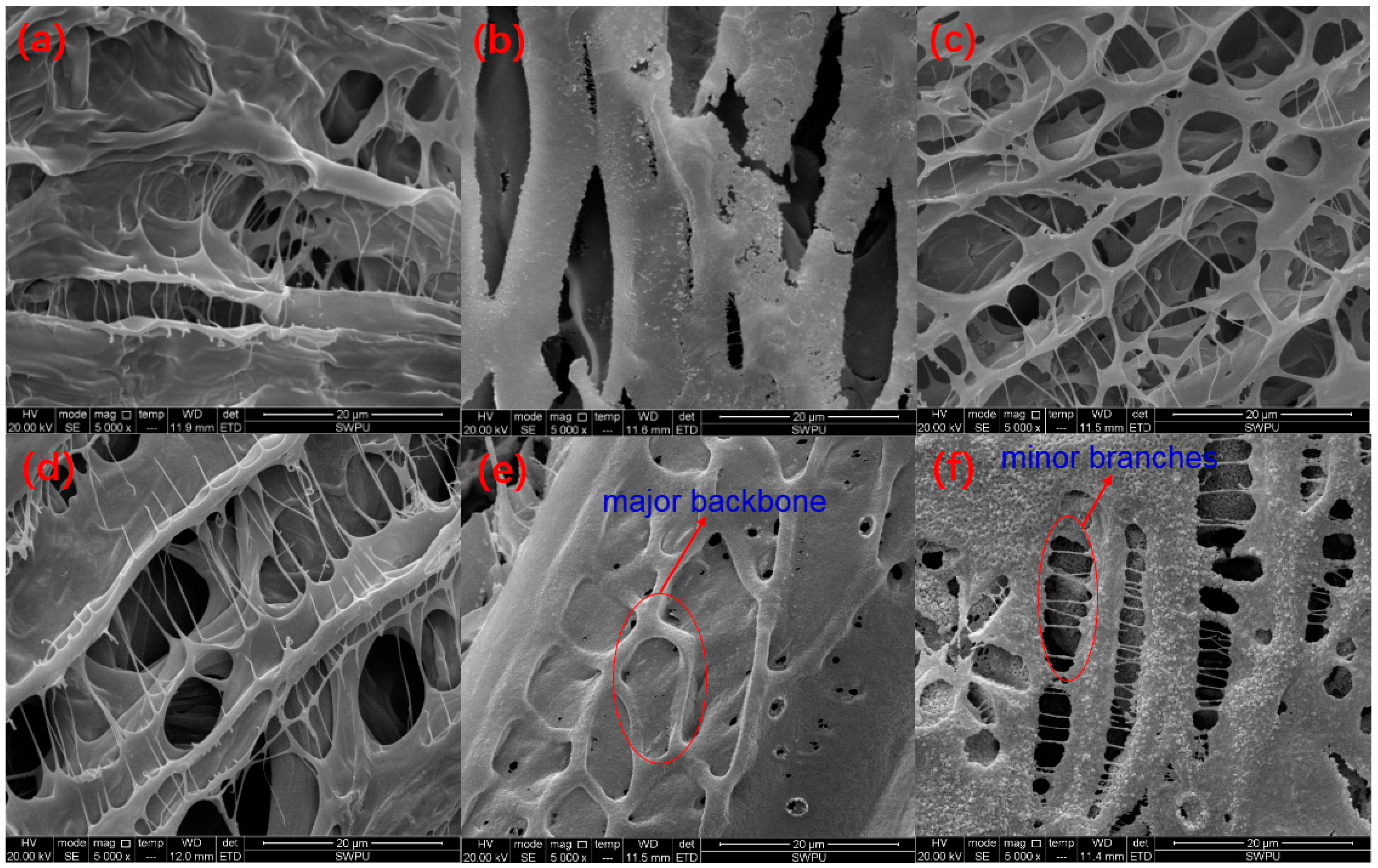 Polymers 11 00626 g007