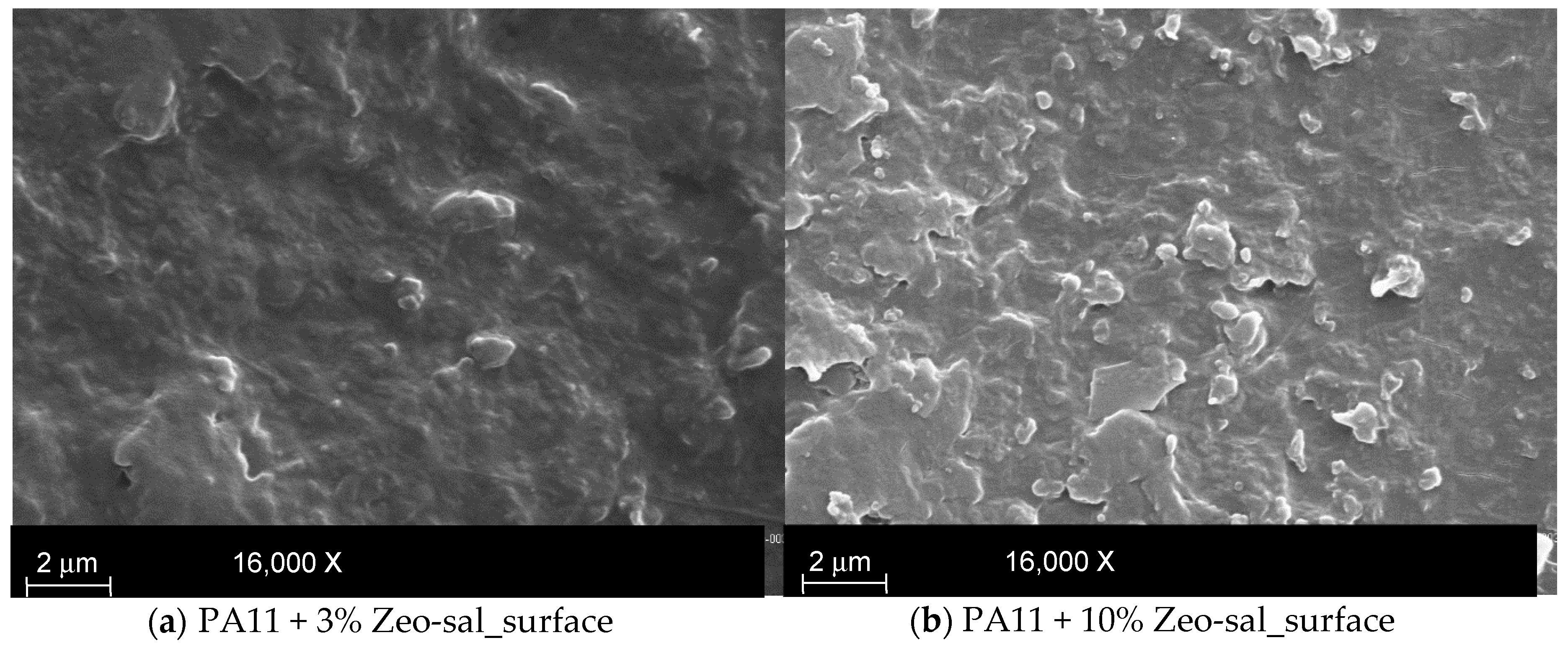 Polymers 11 00634 g003a