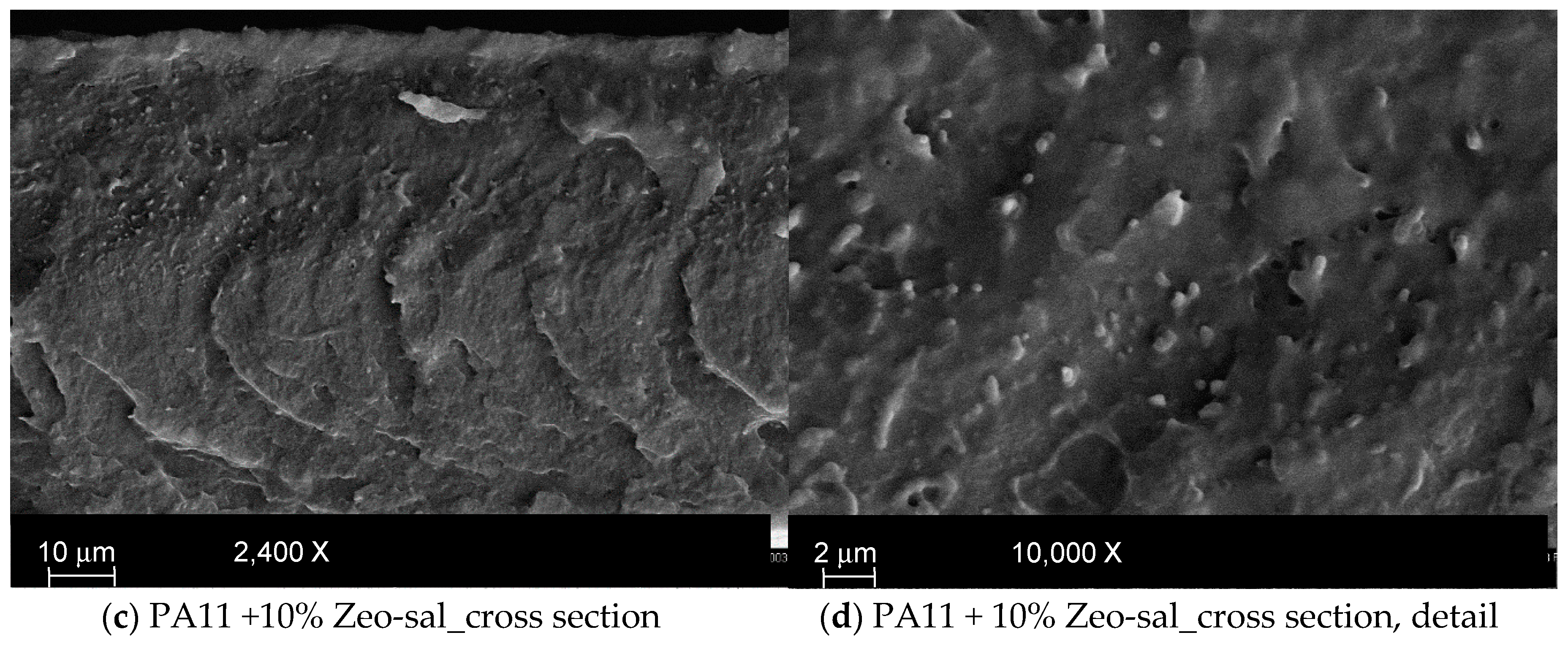 Polymers 11 00634 g003b