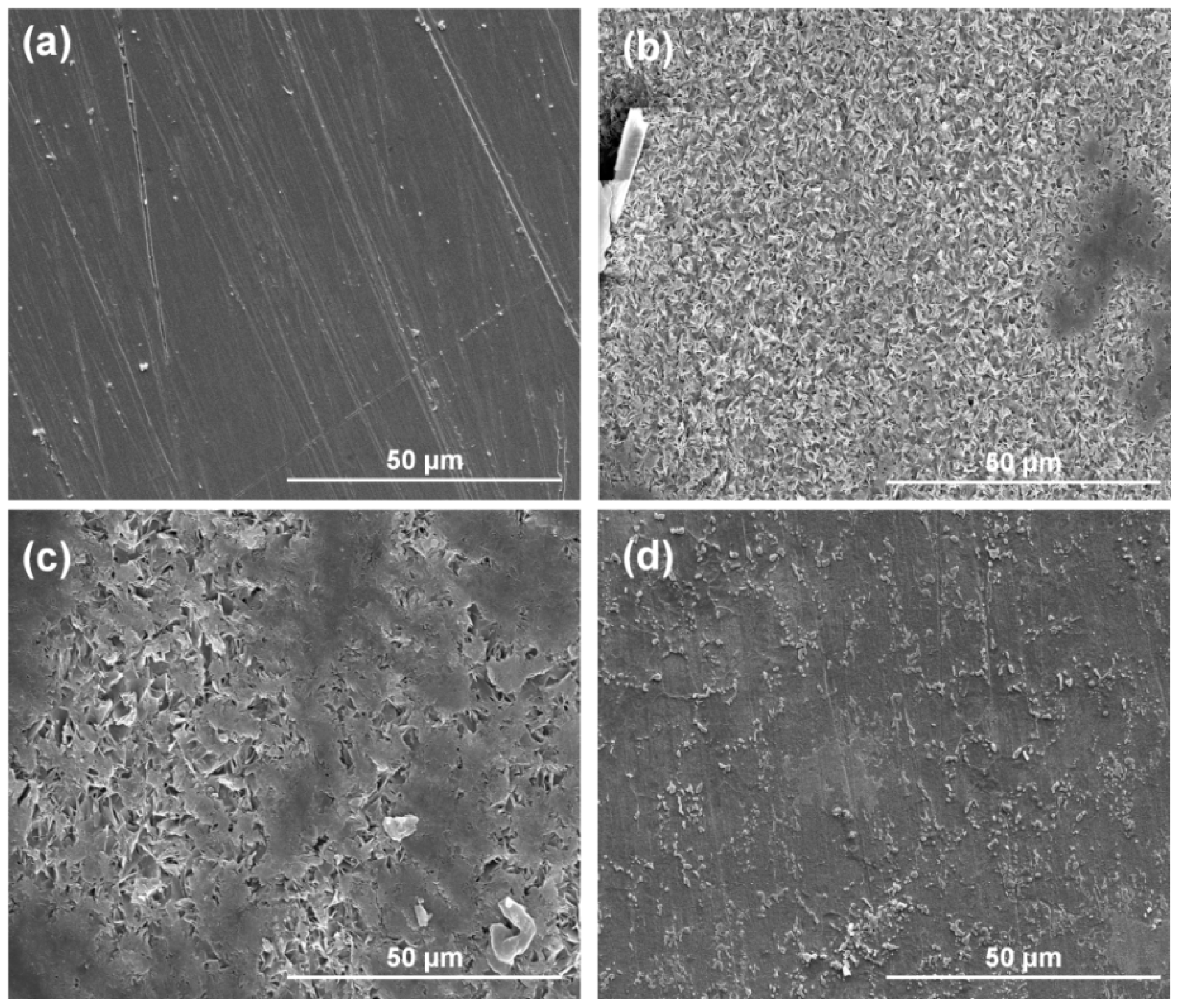 Polymers 11 00635 g008 Polymers 11 00635 g008