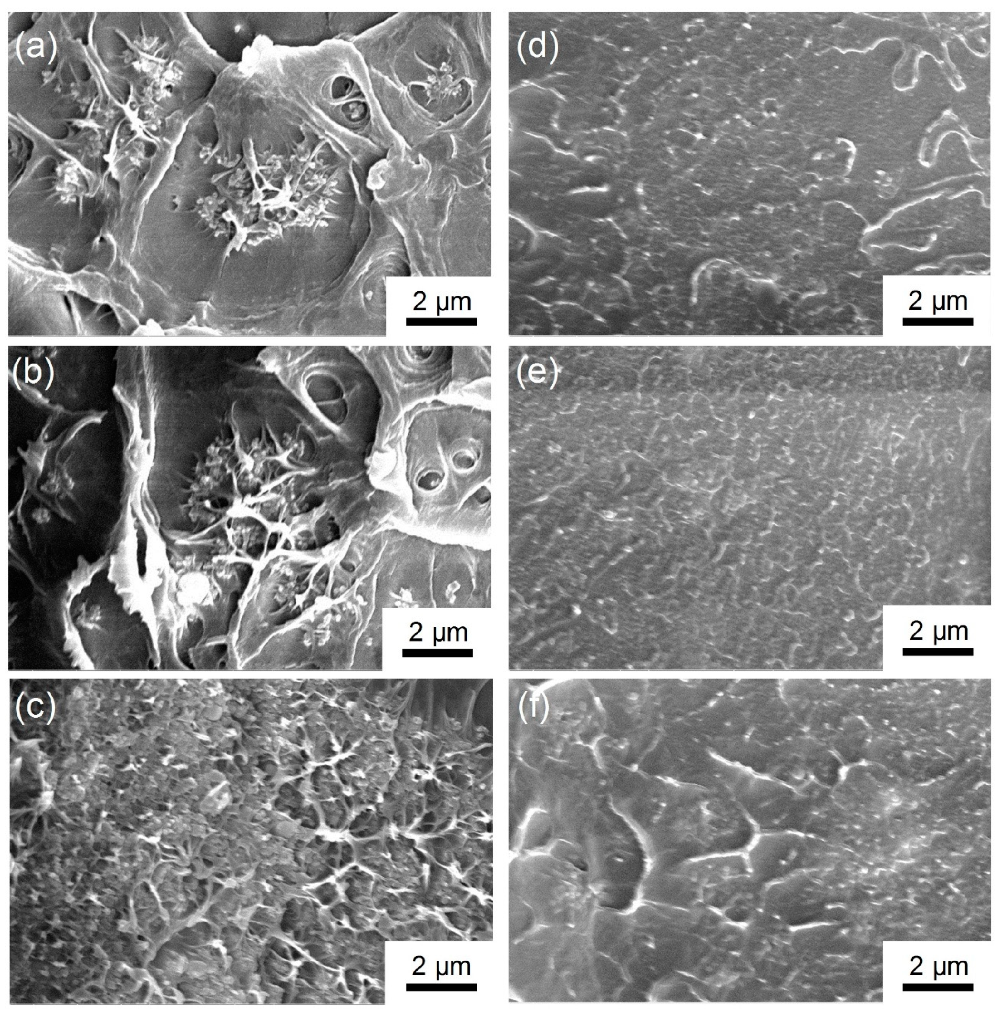 Polymers 11 00638 g003