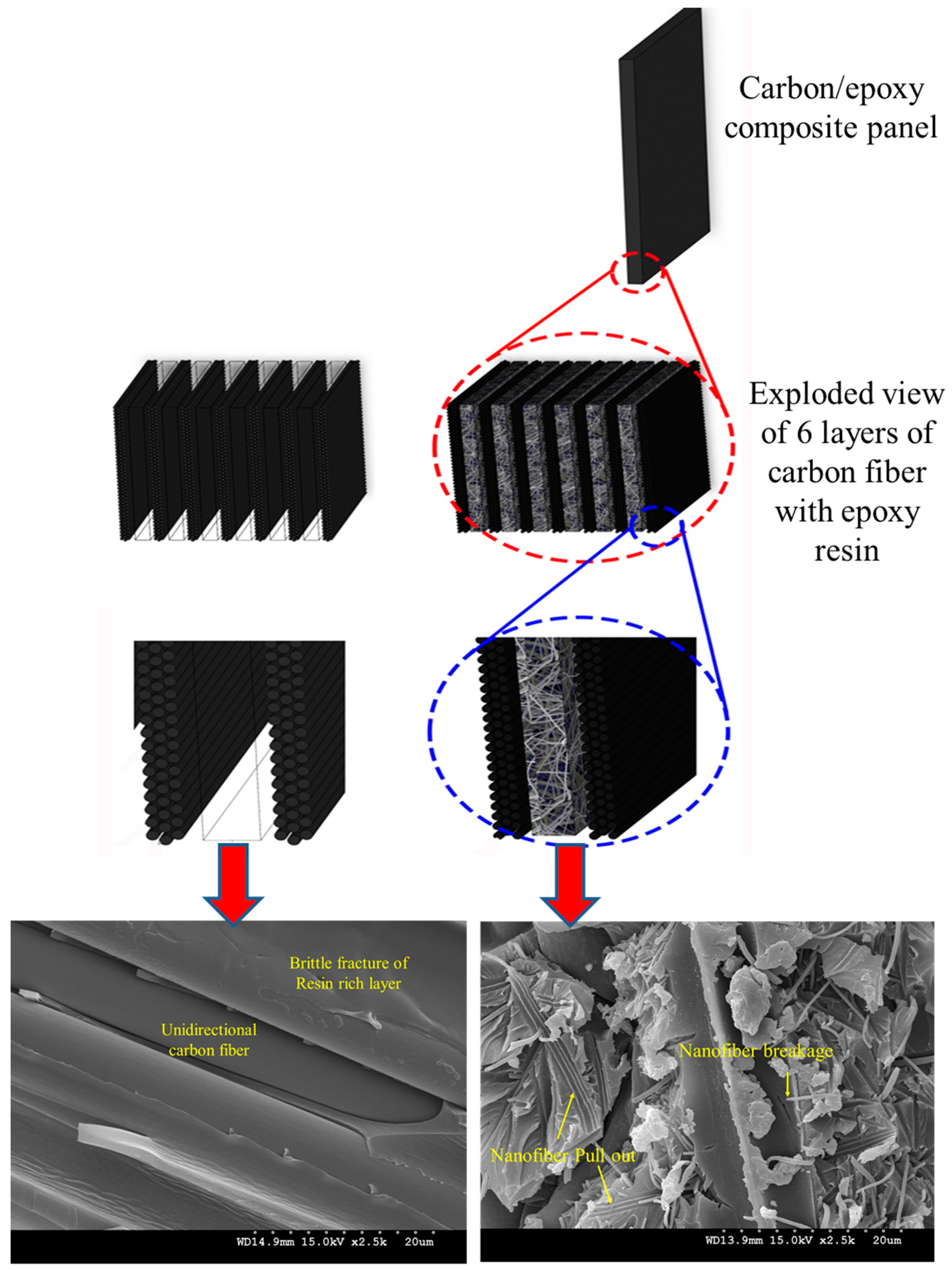 Polymers 11 00644 g001 Polymers 11 00644 g001
