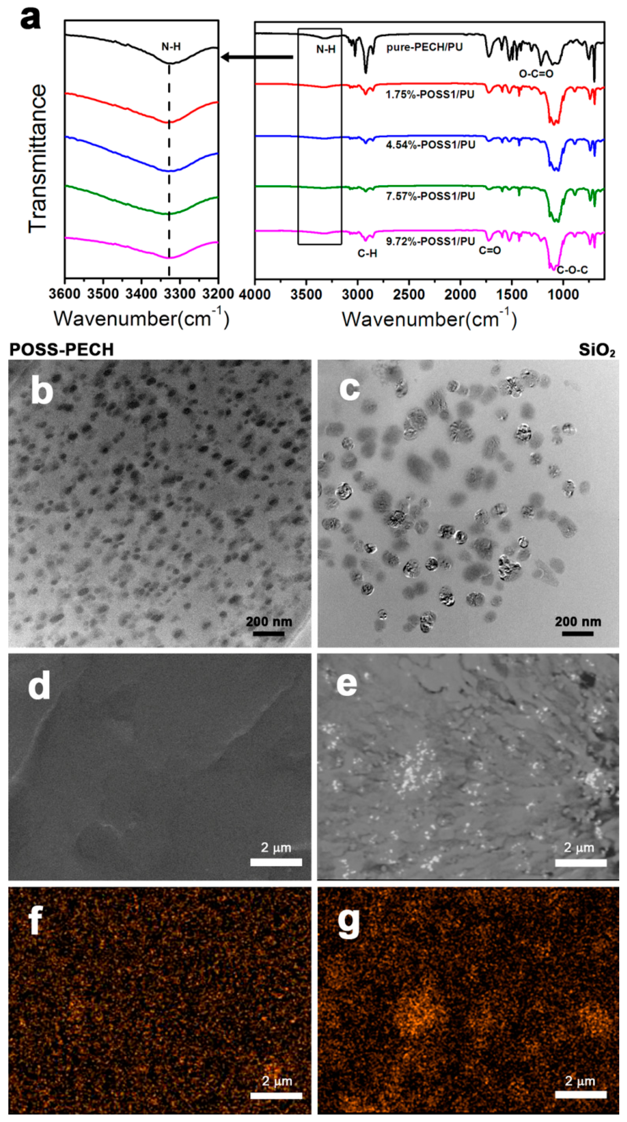 Polymers 11 00647 g003
