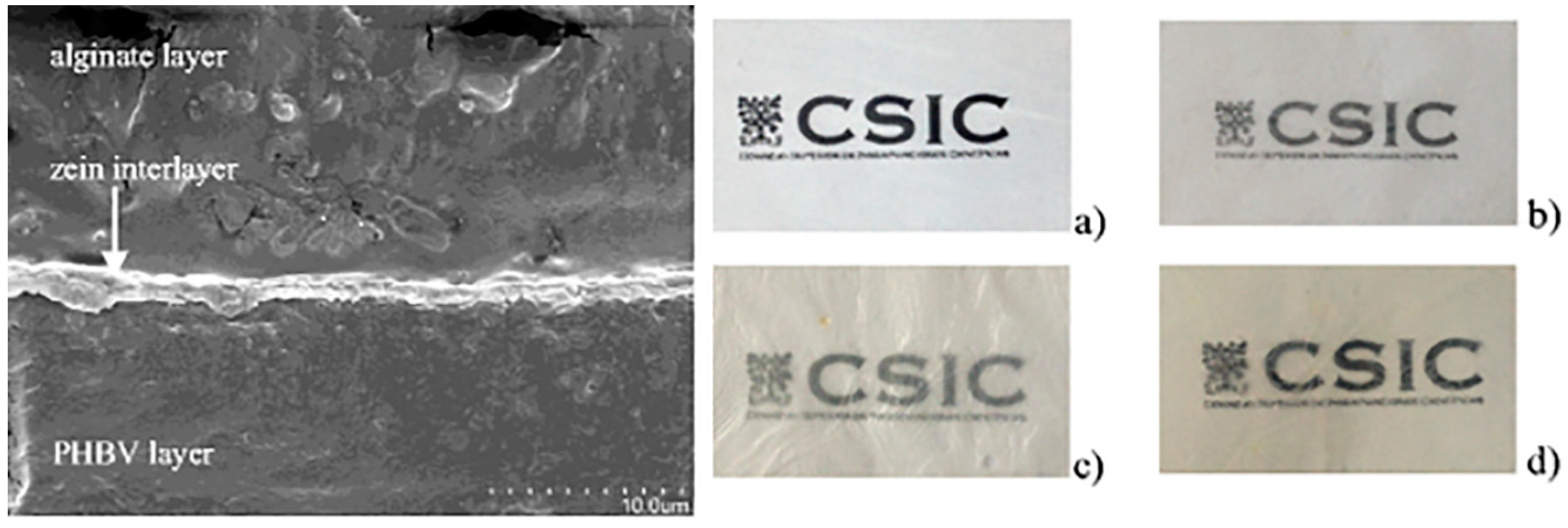 Polymers 11 00651 g003