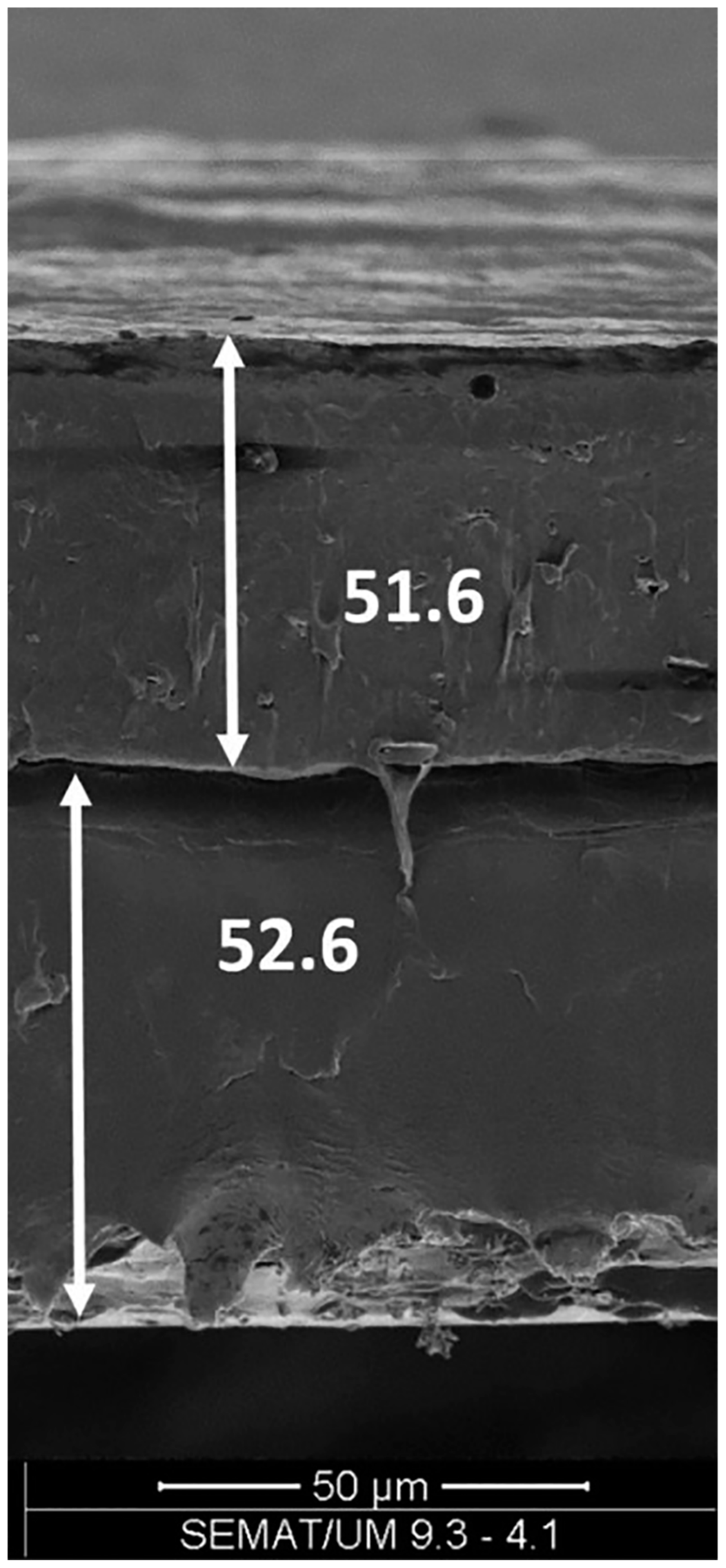 Polymers 11 00651 g005