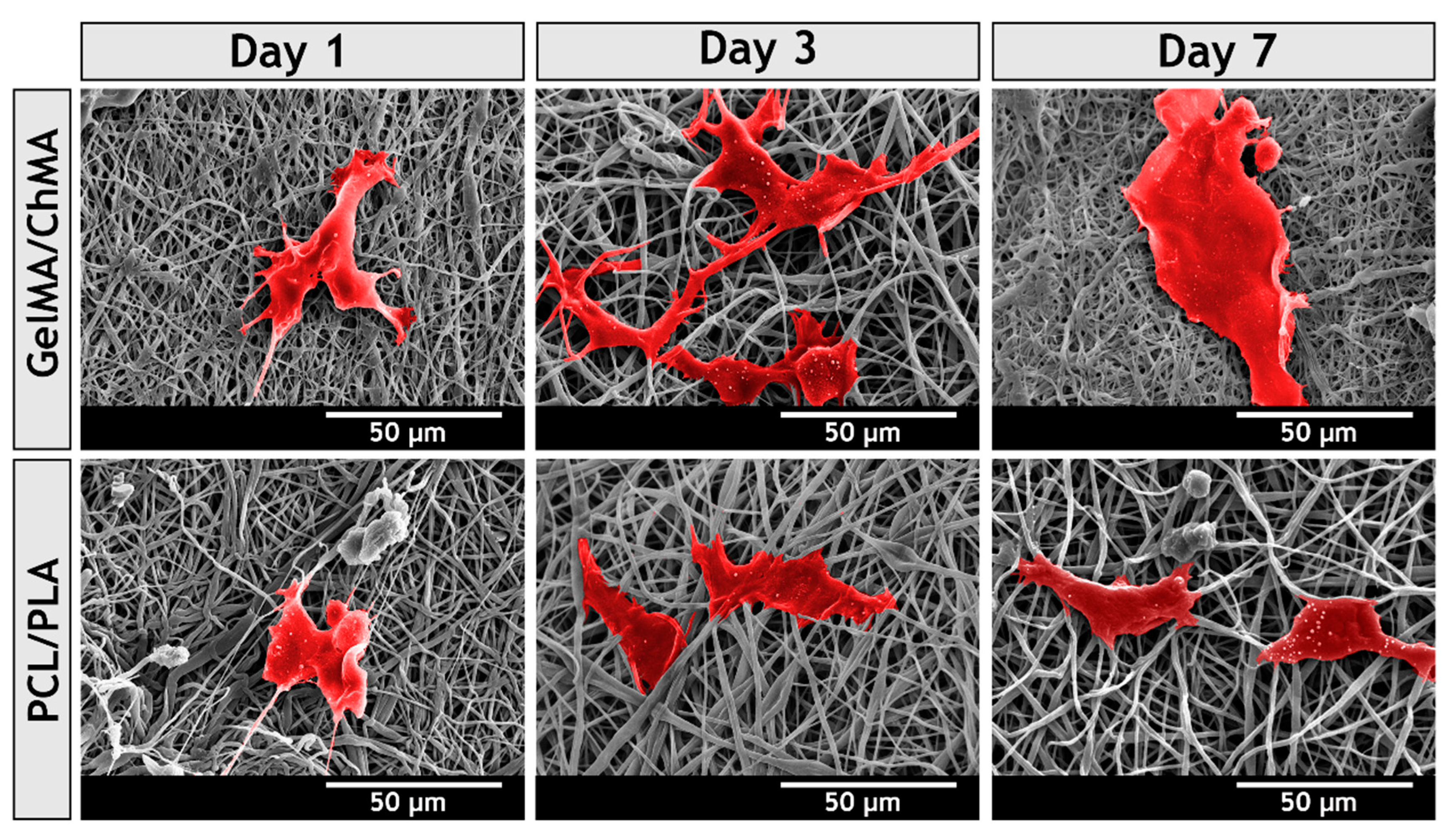 Polymers 11 00653 g010 Polymers 11 00653 g010