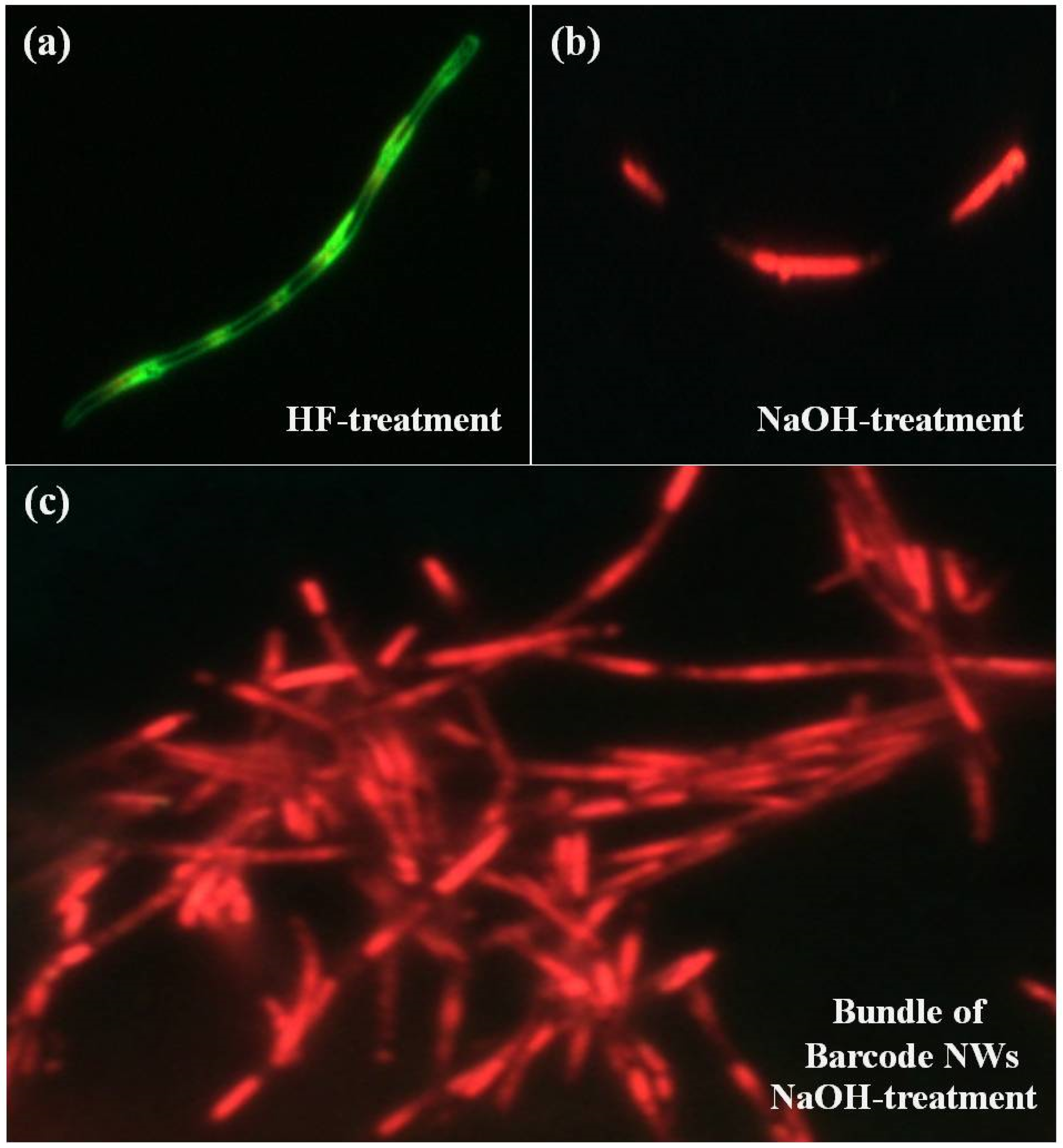 Polymers 11 00662 g004