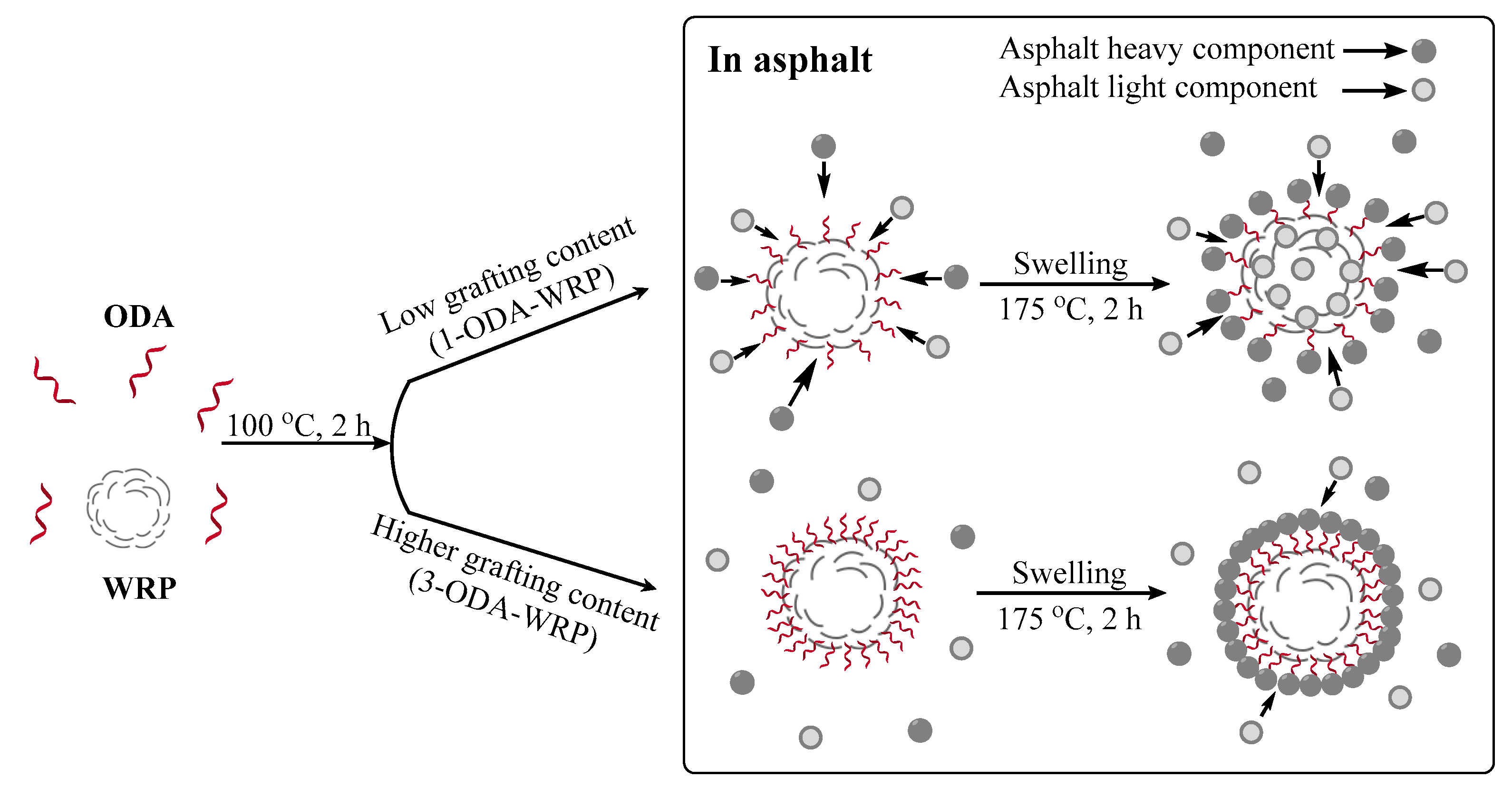 Polymers 11 00665 g011