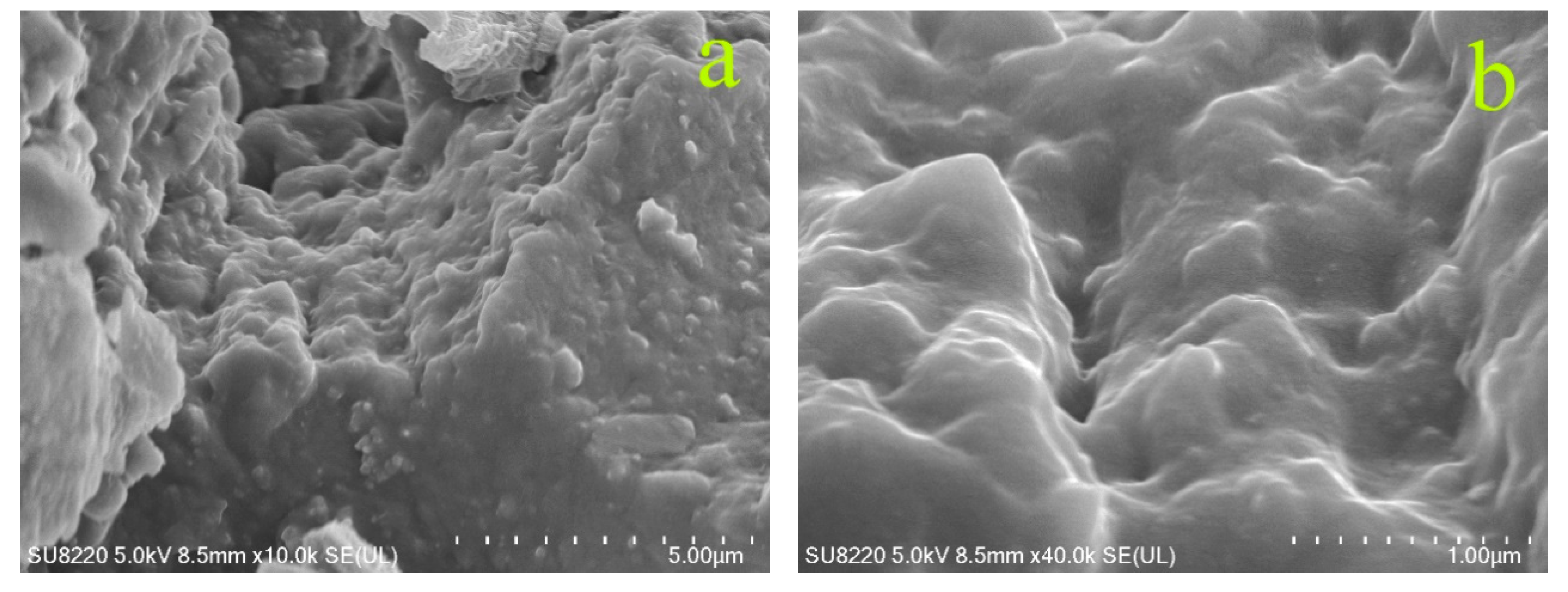 Polymers 11 00665 g014a