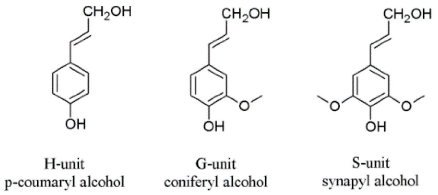 Polymers 11 00670 g001