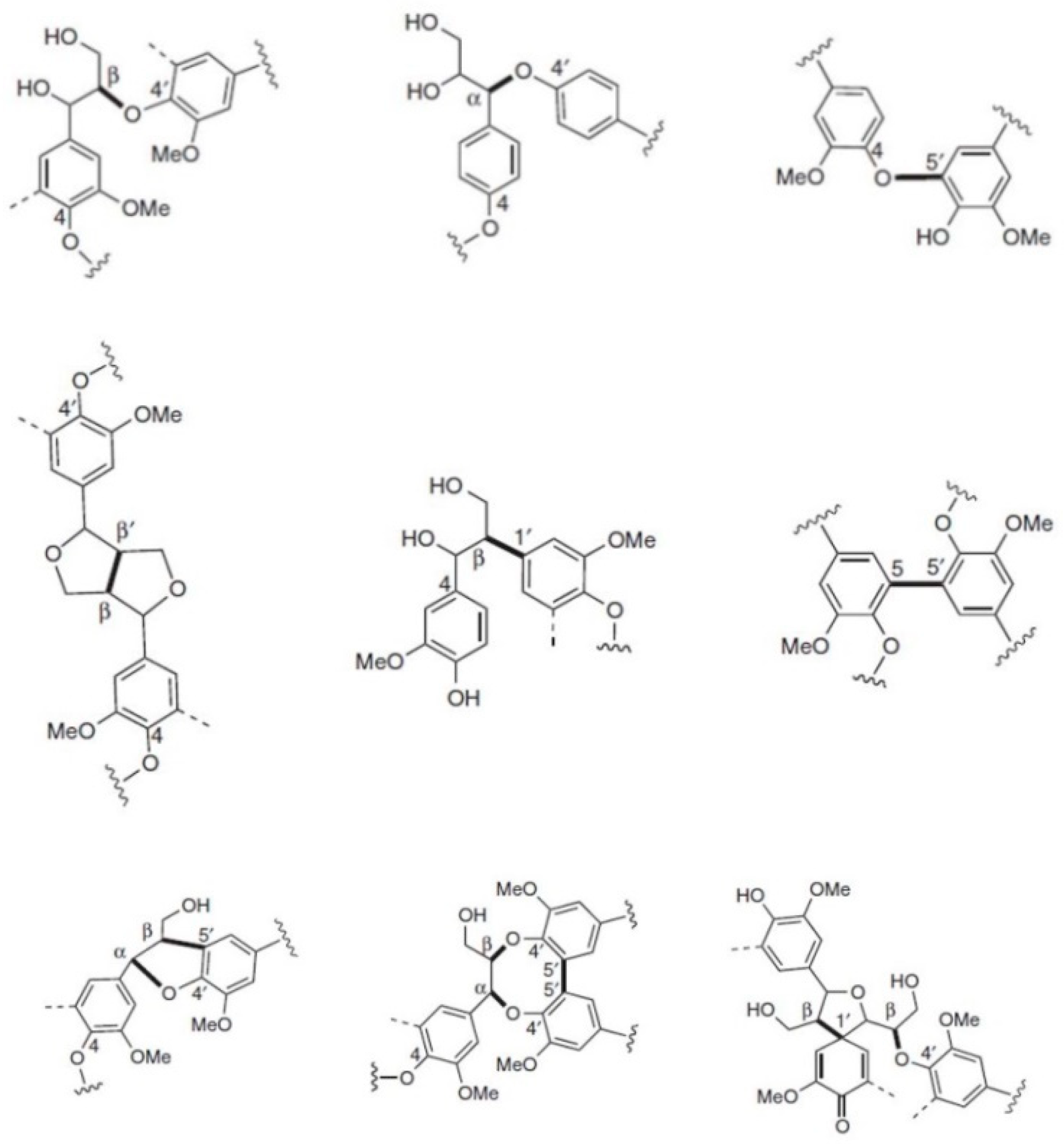 Polymers 11 00670 g002