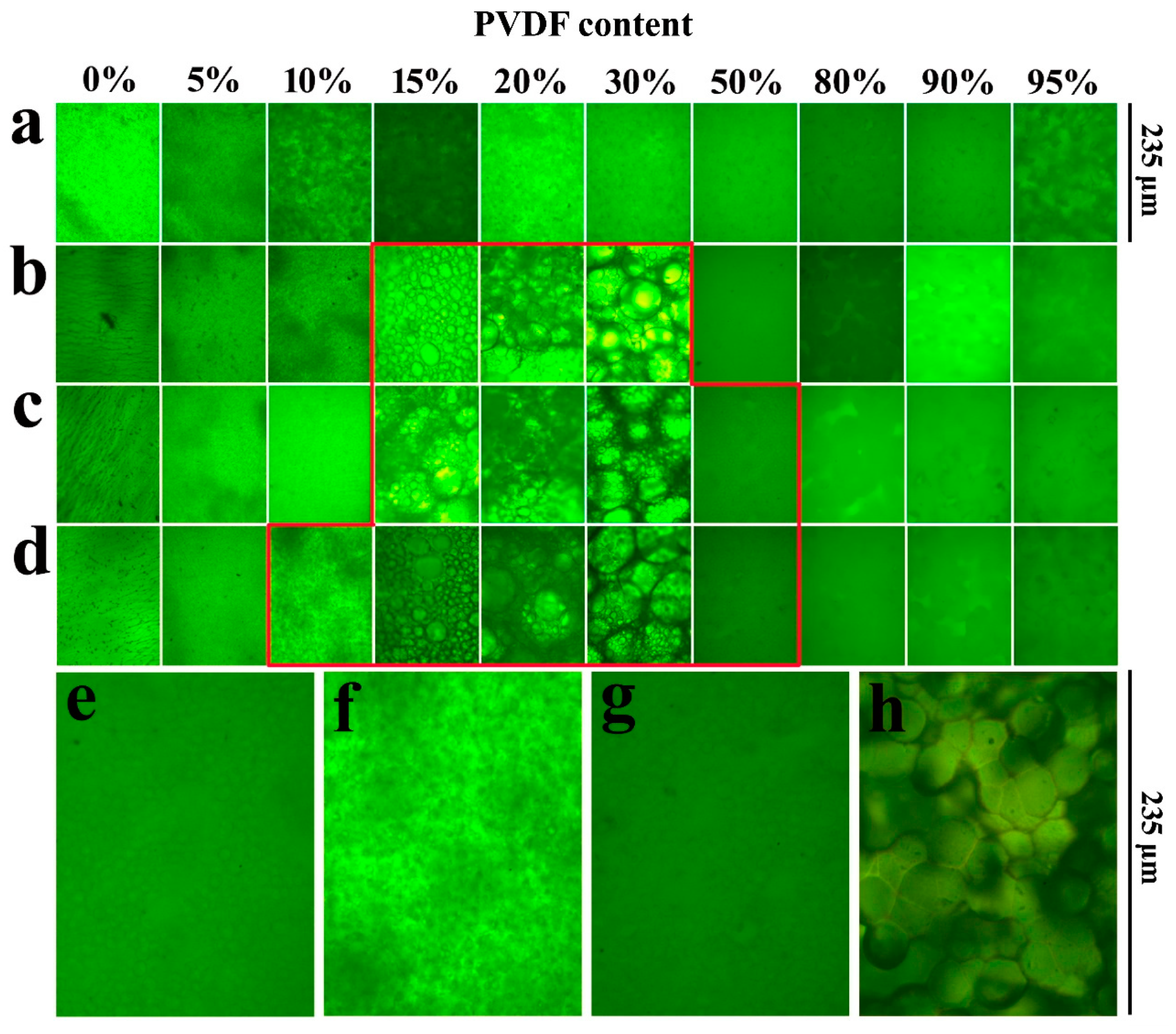 Polymers 11 00676 g001