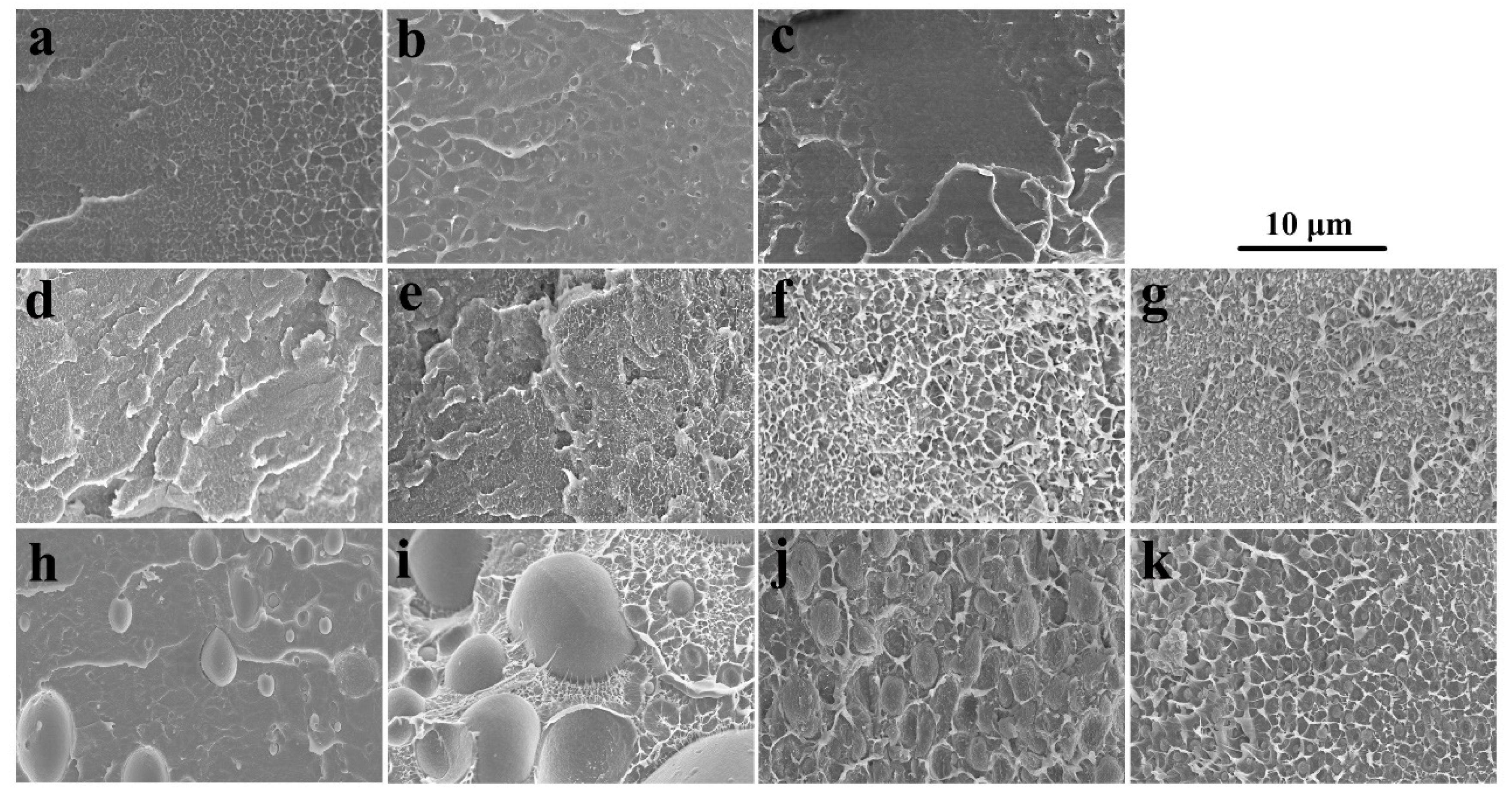 Polymers 11 00676 g002