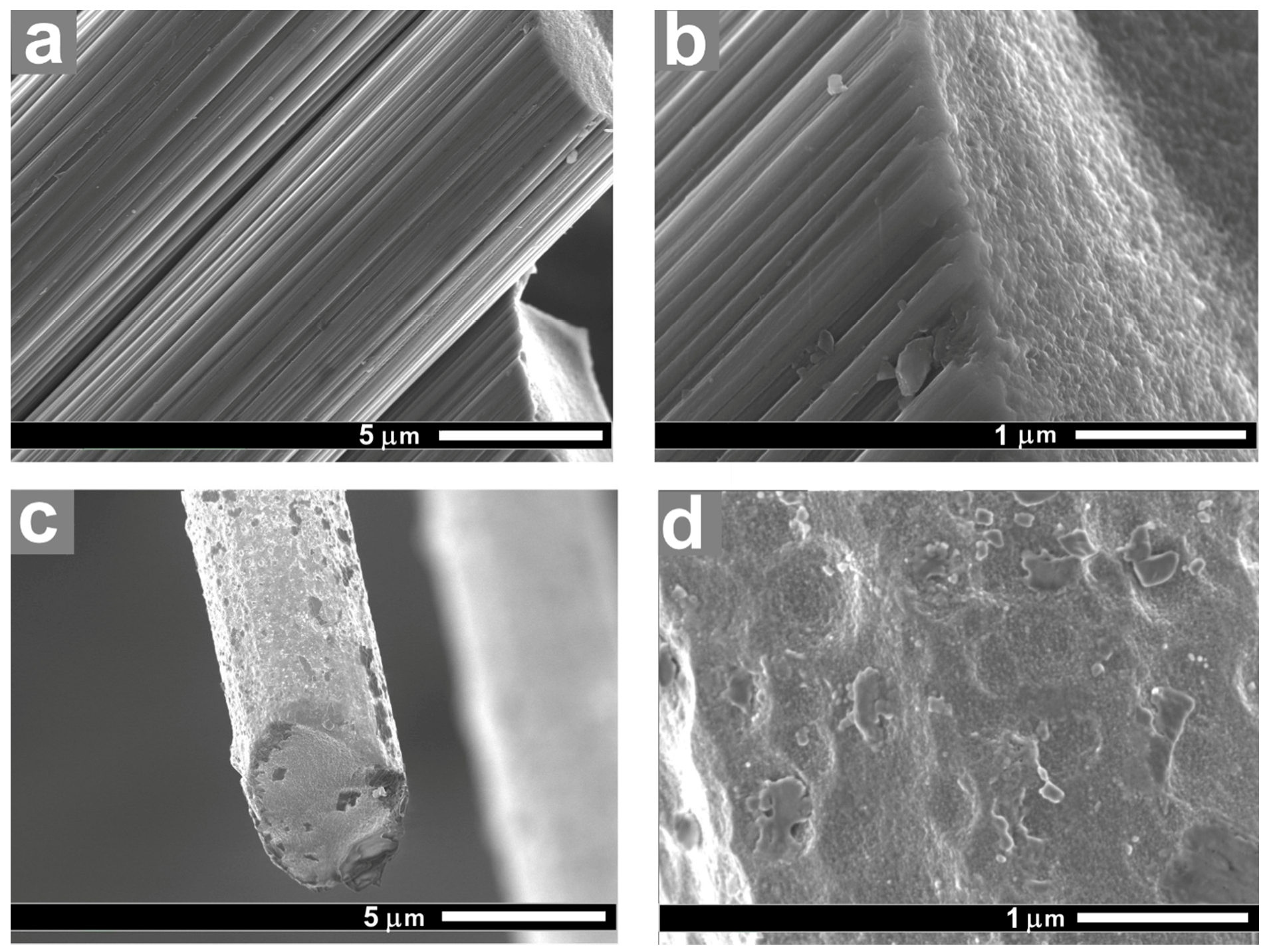 Polymers 11 00684 g002 Polymers 11 00684 g002