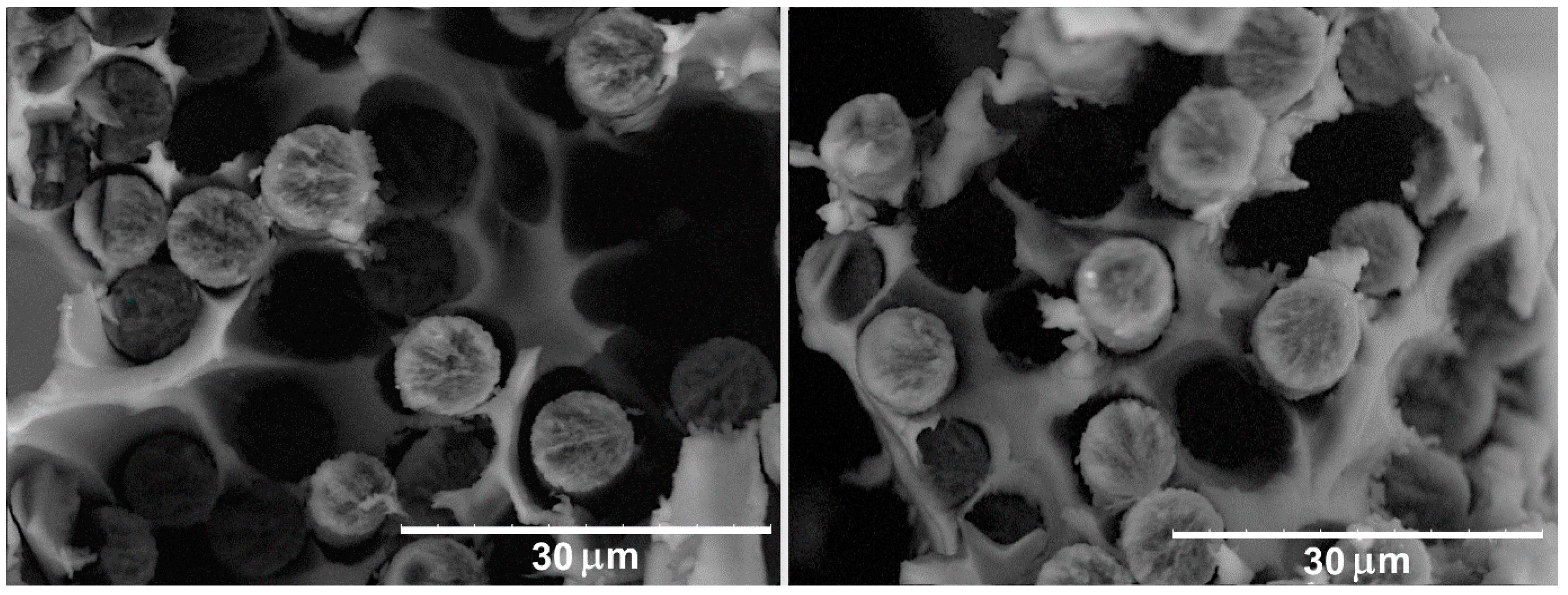 Polymers 11 00684 g004 Polymers 11 00684 g004