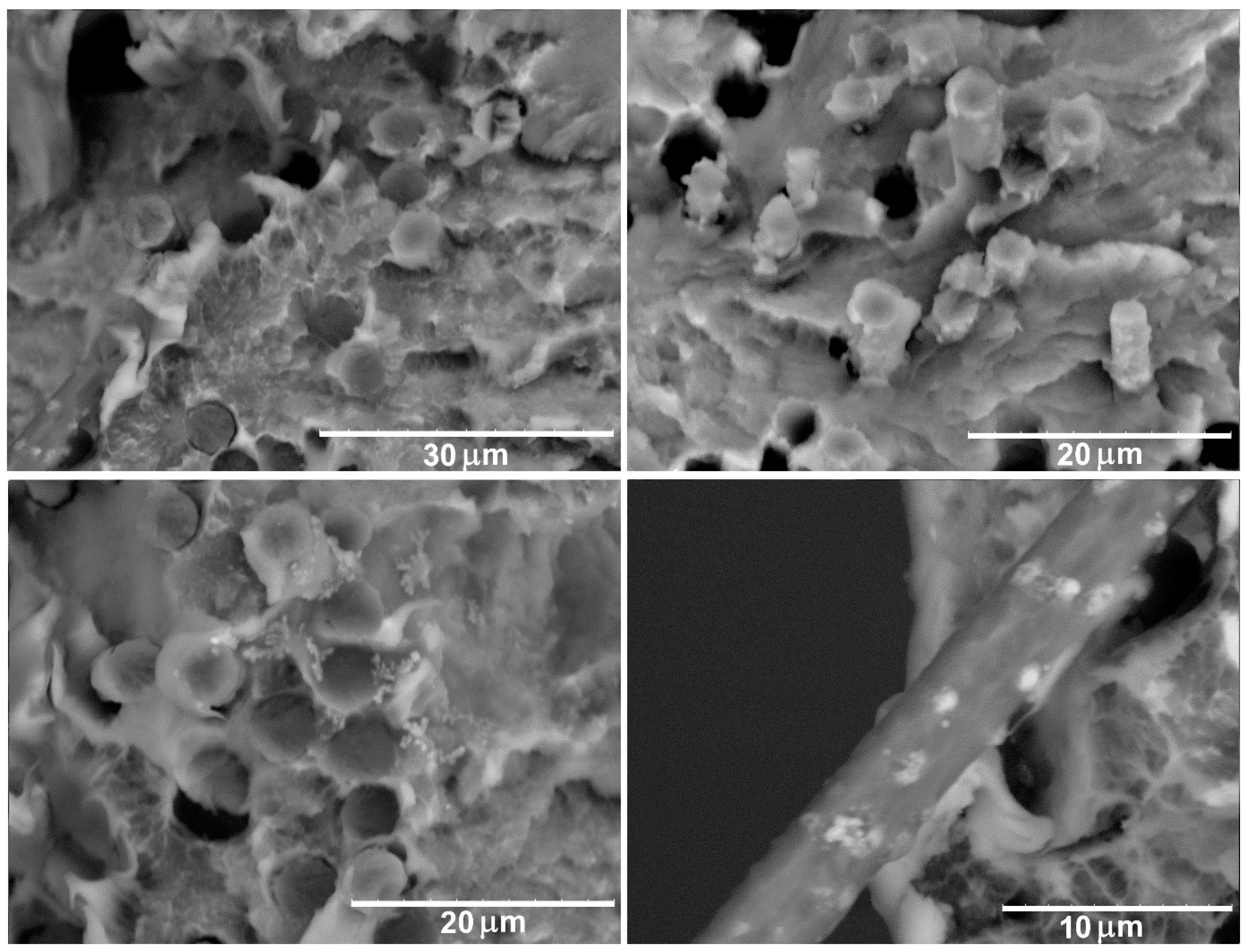 Polymers 11 00684 g006 Polymers 11 00684 g006