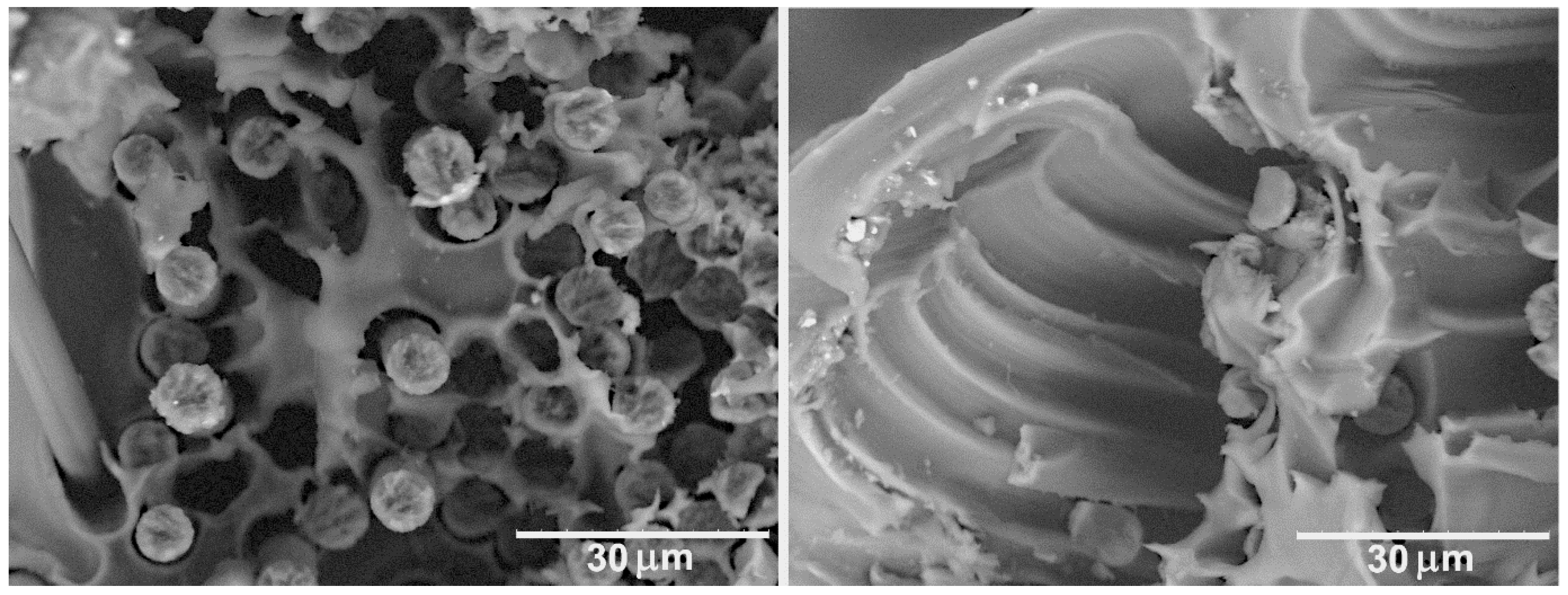 Polymers 11 00684 g007 Polymers 11 00684 g007