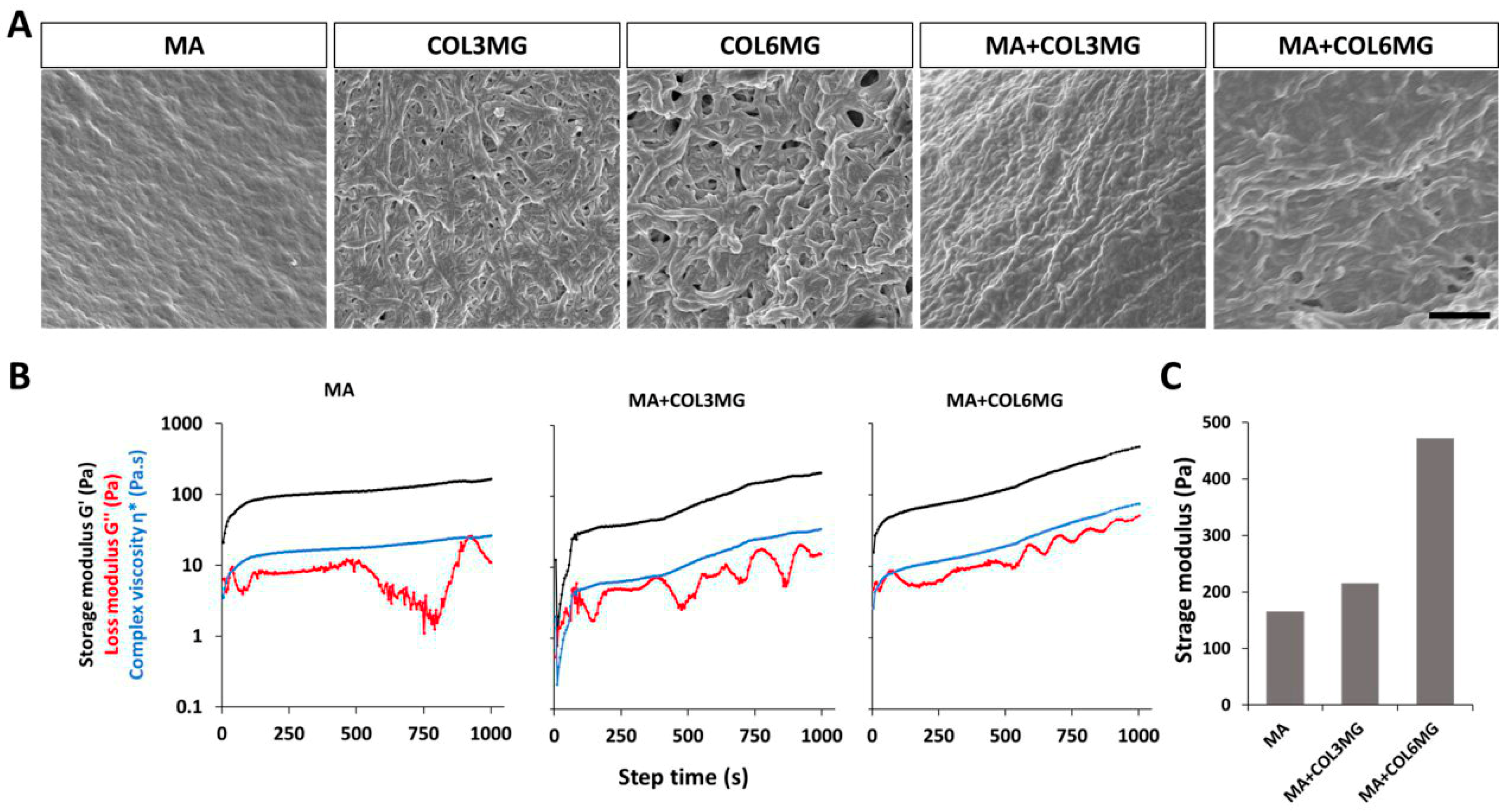 Polymers 11 00687 g002