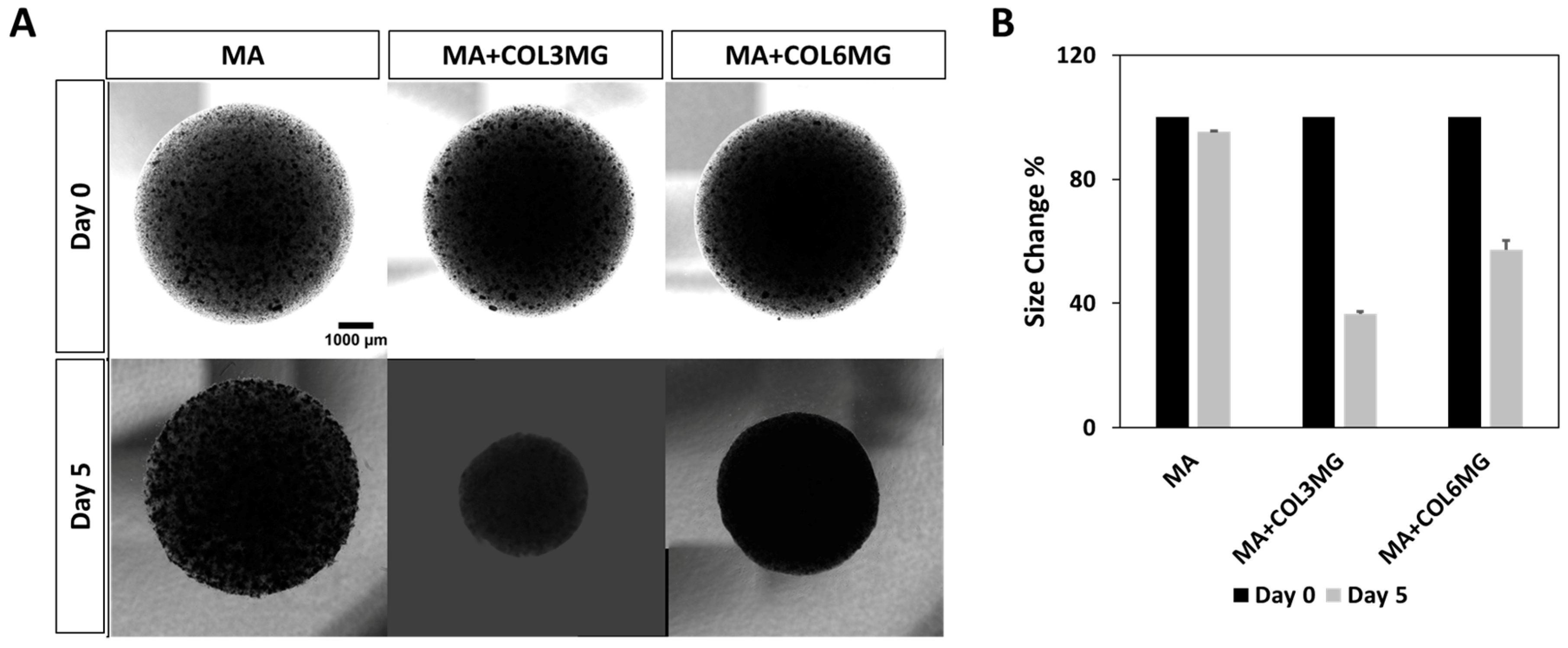 Polymers 11 00687 g004