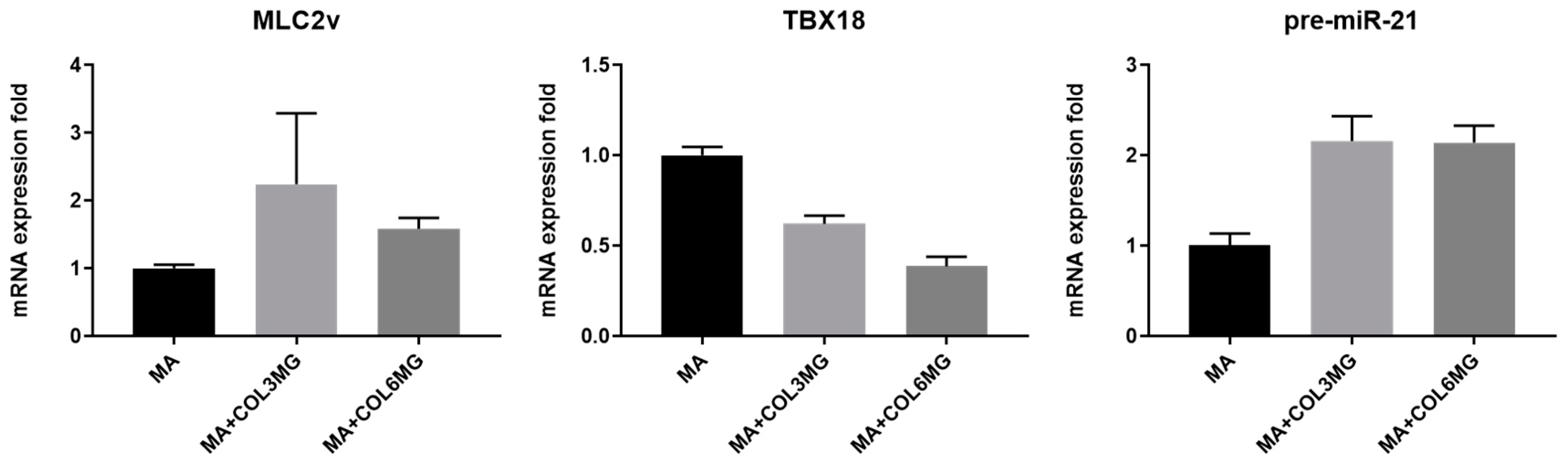 Polymers 11 00687 g005