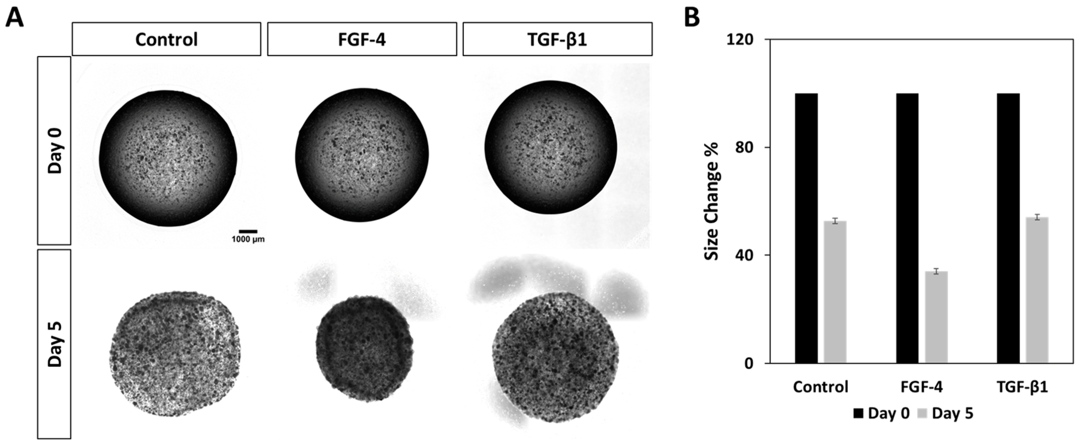 Polymers 11 00687 g006