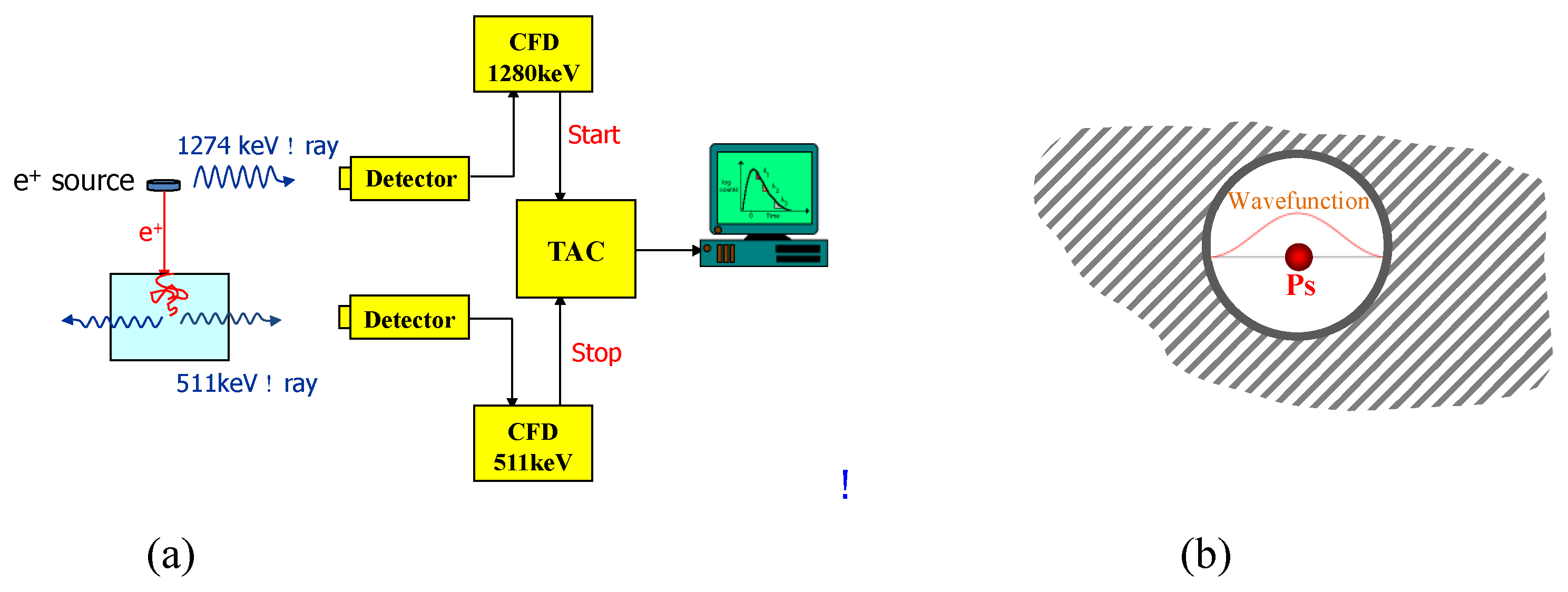 Polymers 11 00690 g013 Polymers 11 00690 g013