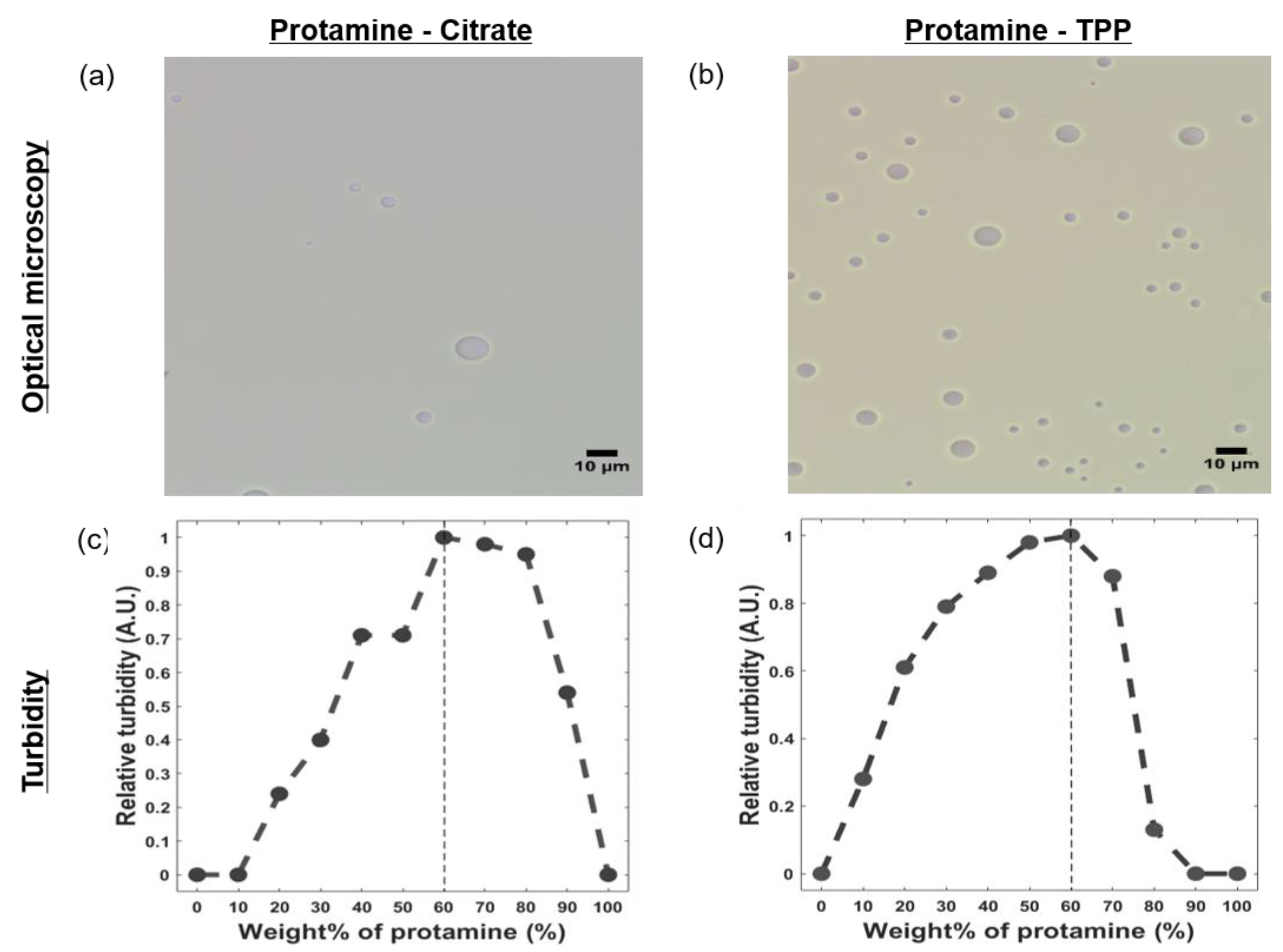 Polymers 11 00691 g002