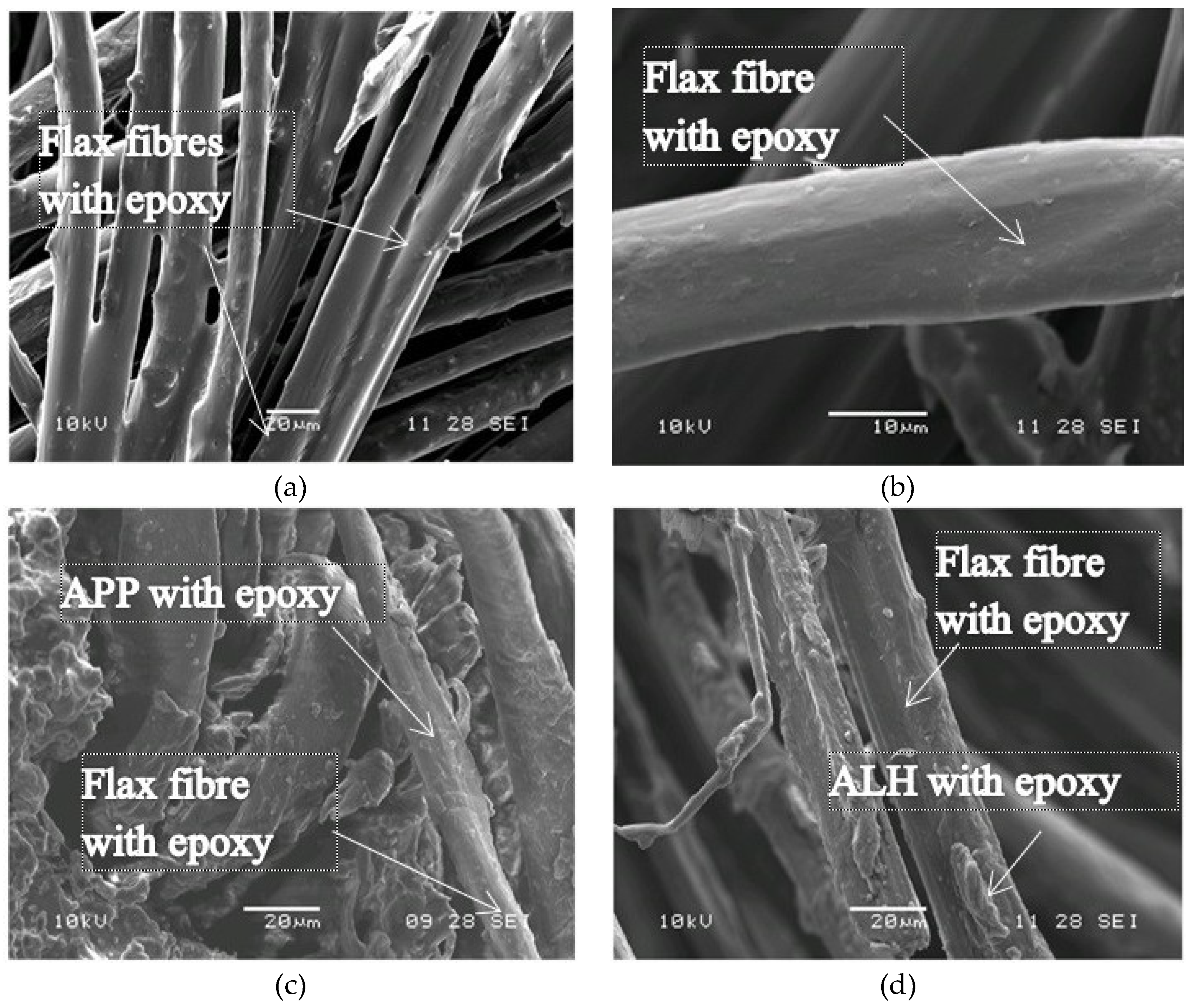 Polymers 11 00699 g005