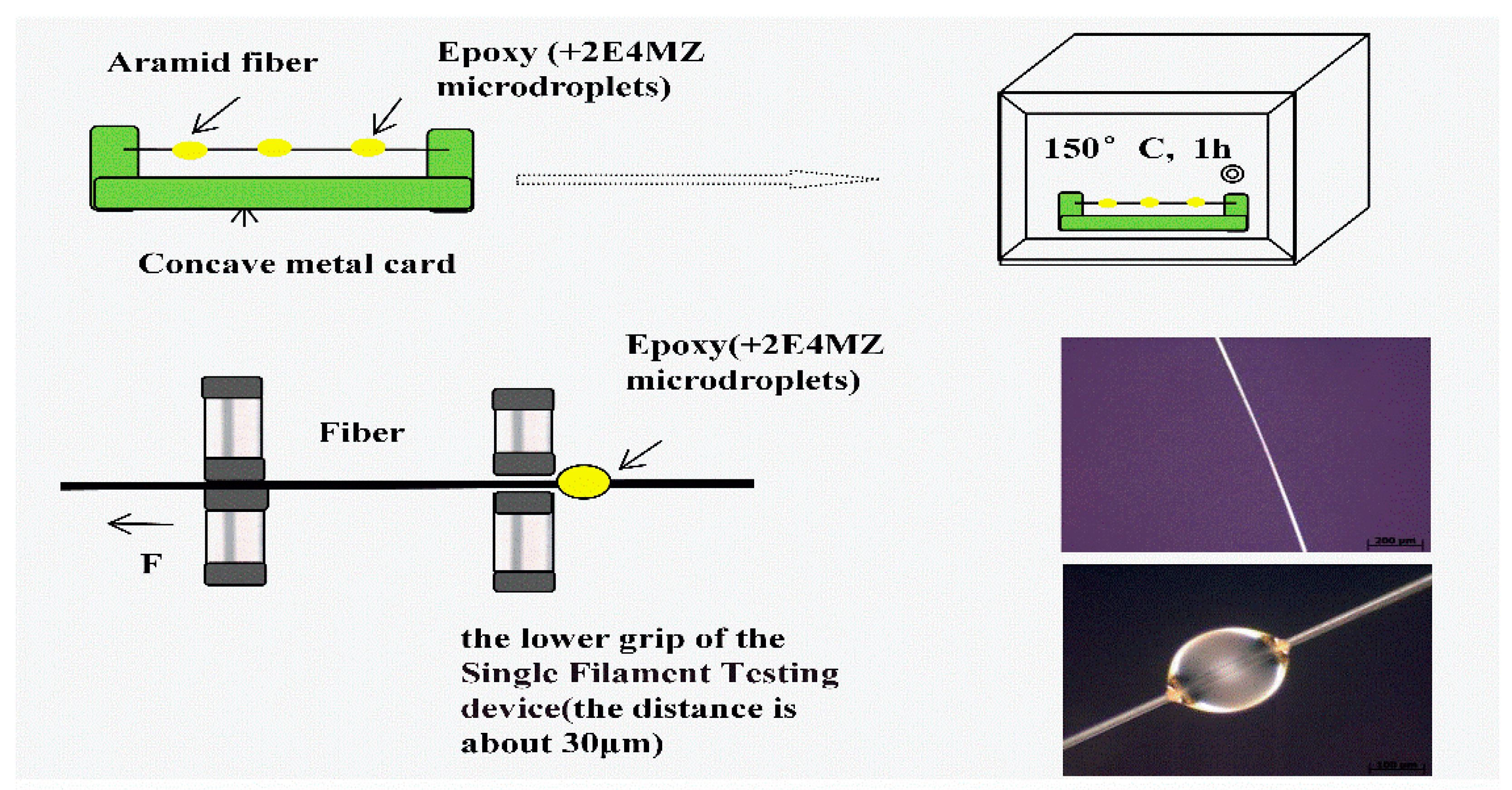 Polymers 11 00700 g004