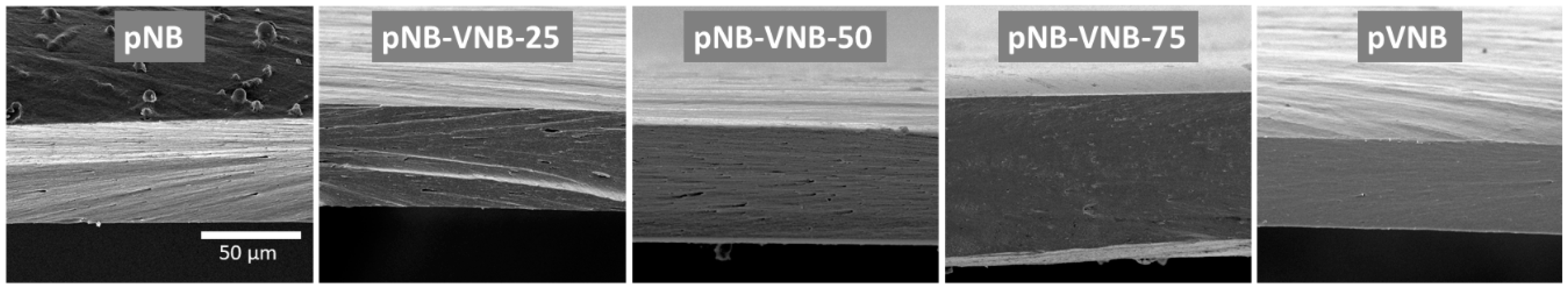 Polymers 11 00704 g005 Polymers 11 00704 g005