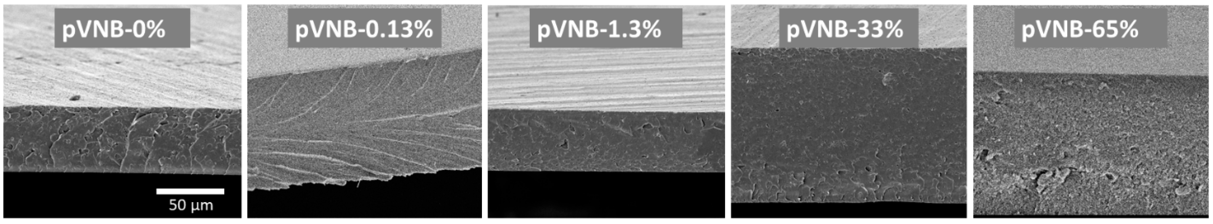 Polymers 11 00704 g010 Polymers 11 00704 g010
