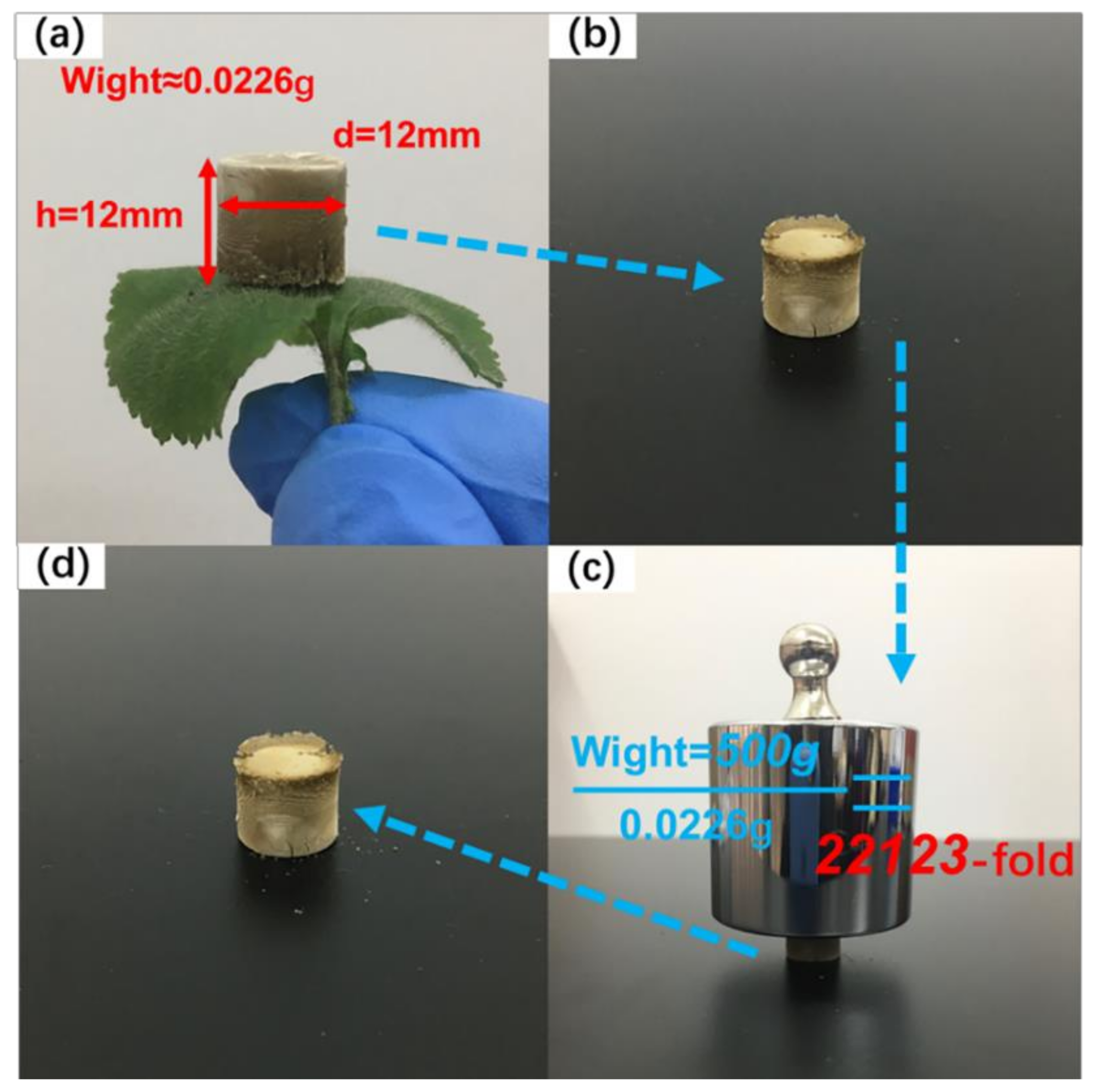 Polymers 11 00712 g008