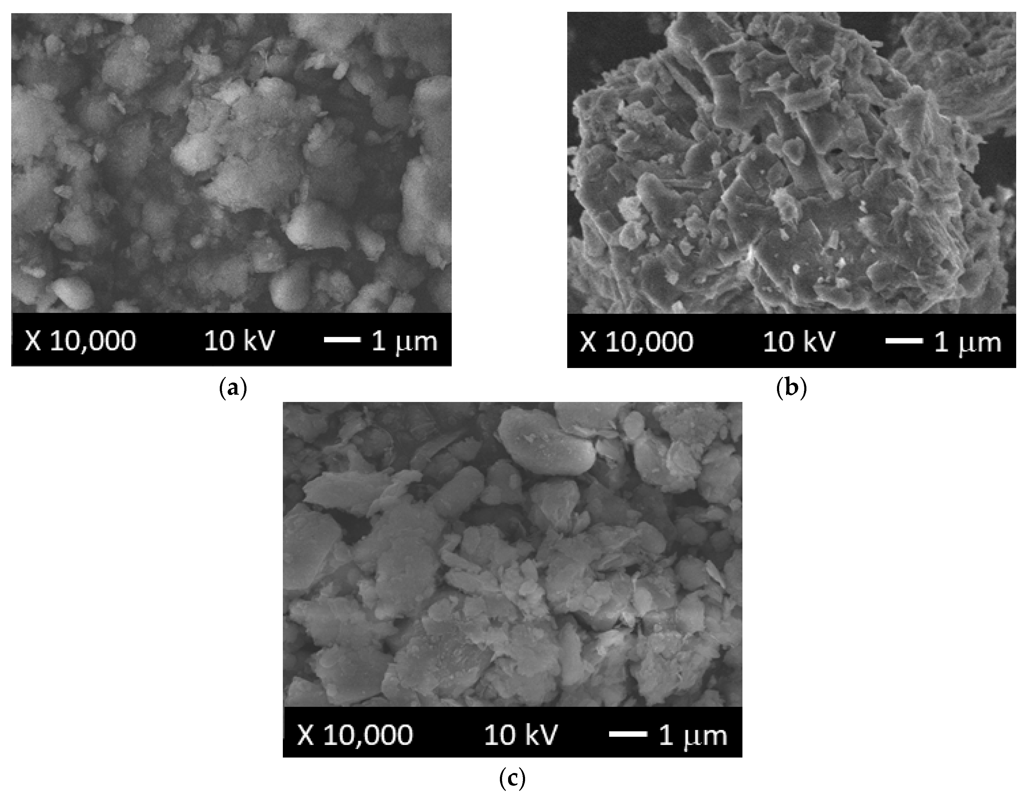 Polymers 11 00721 g008
