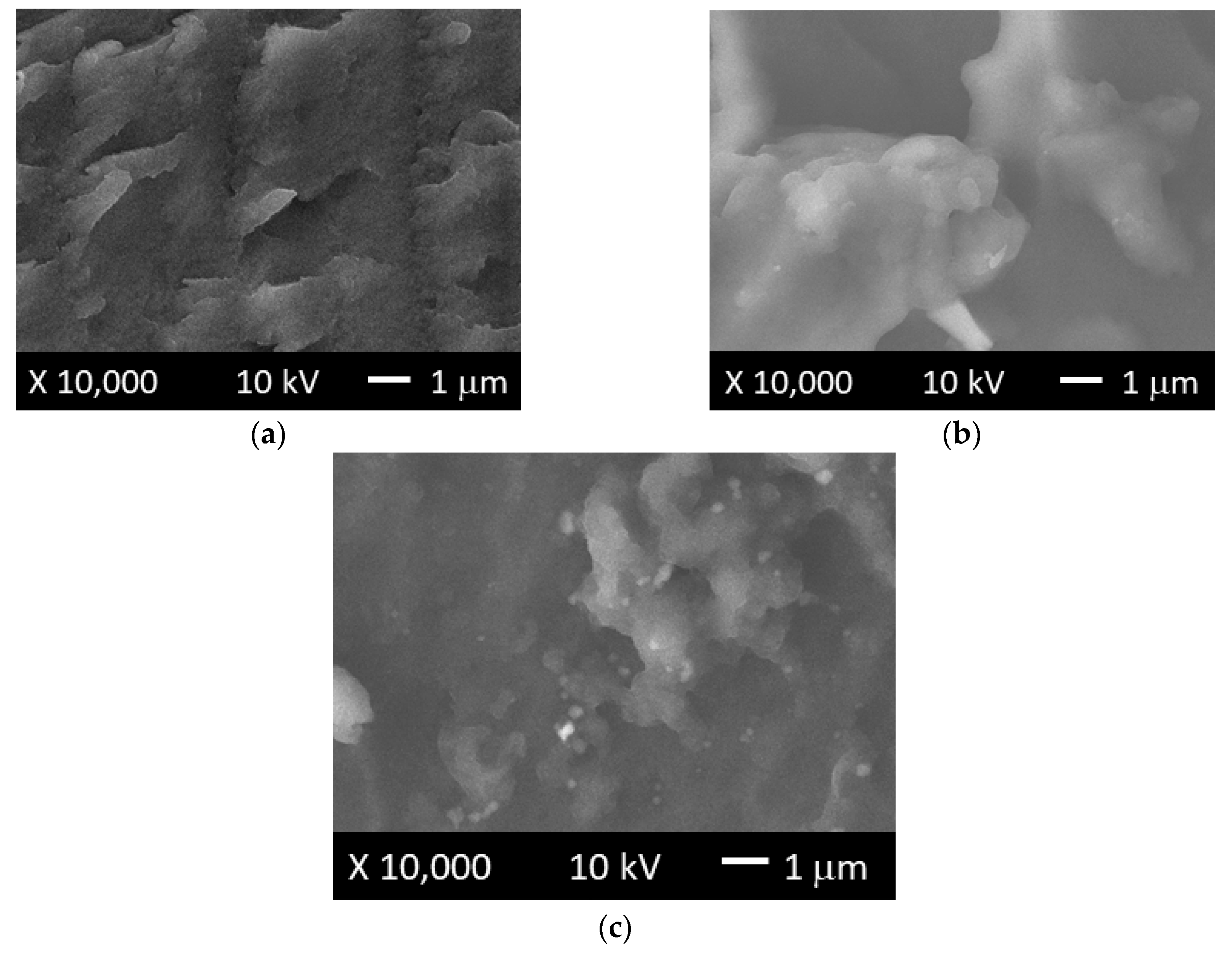 Polymers 11 00721 g009