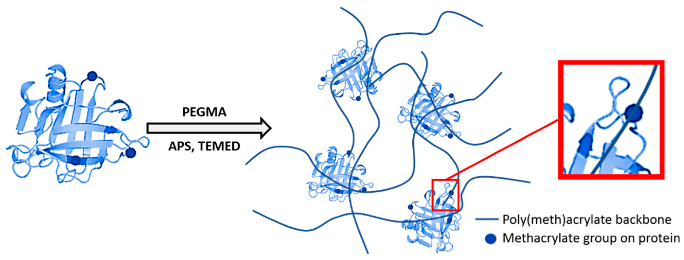 Polymers 11 00722 g002