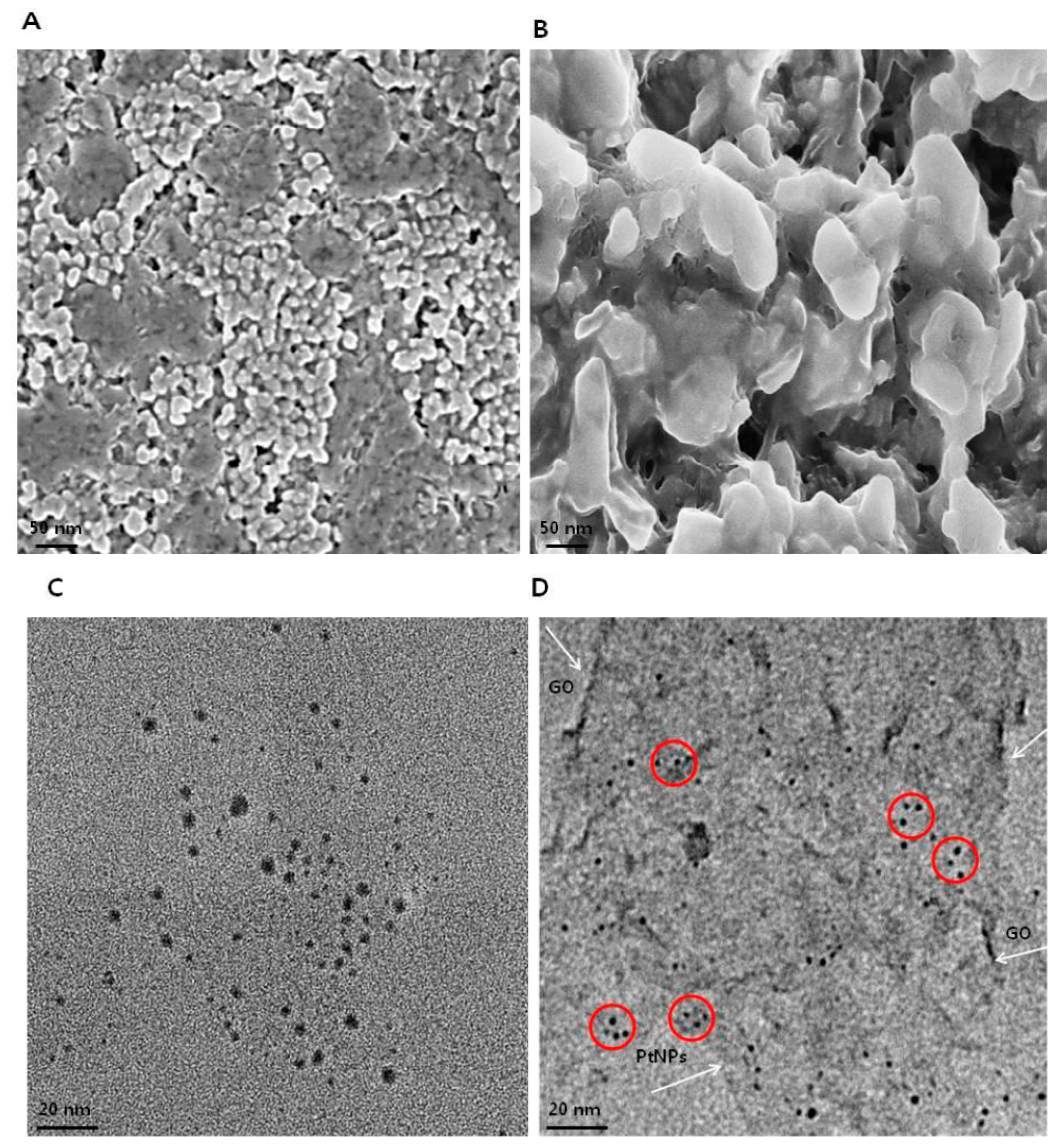 Polymers 11 00733 g005