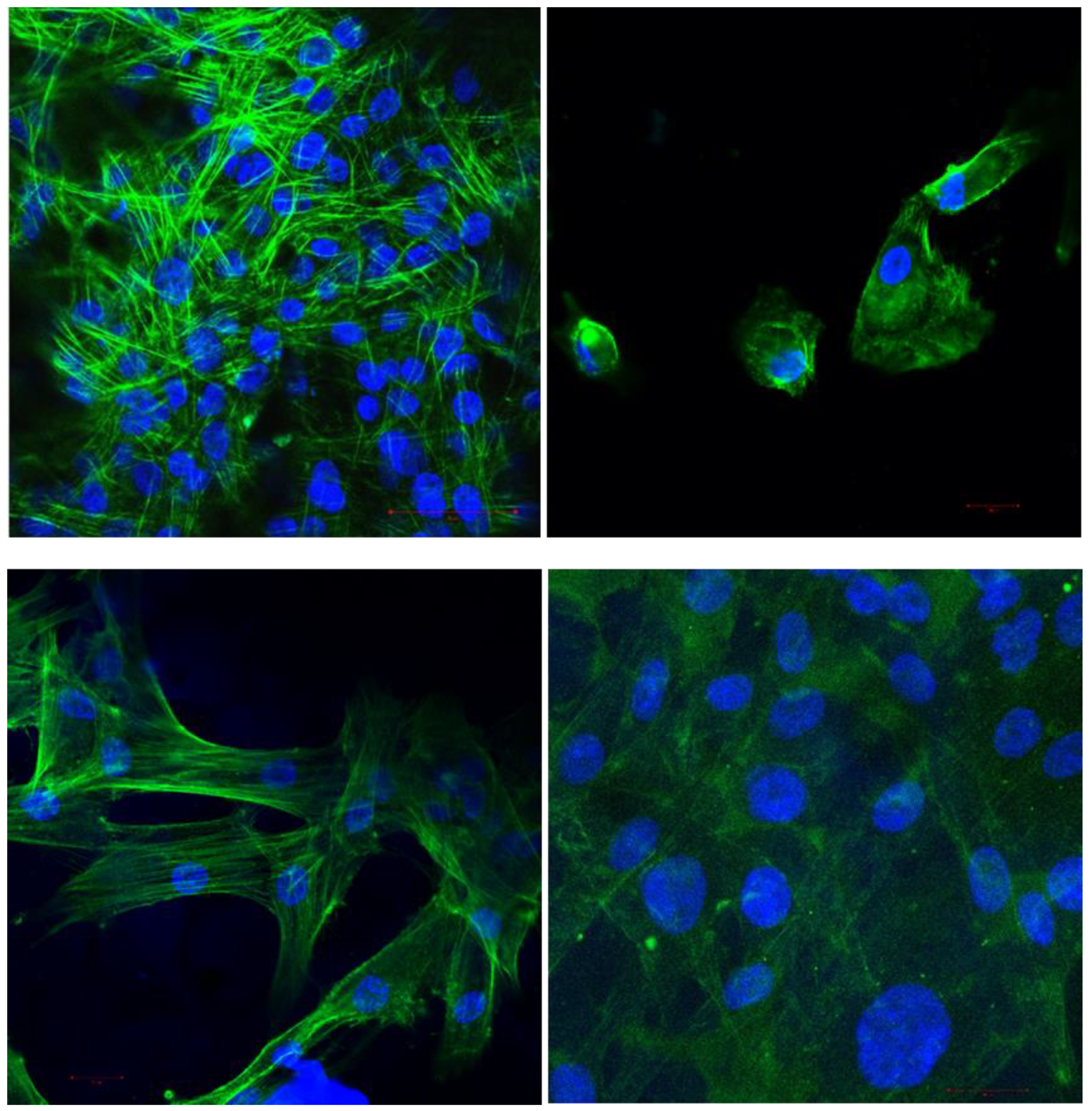 Polymers 11 00744 g006 Polymers 11 00744 g006