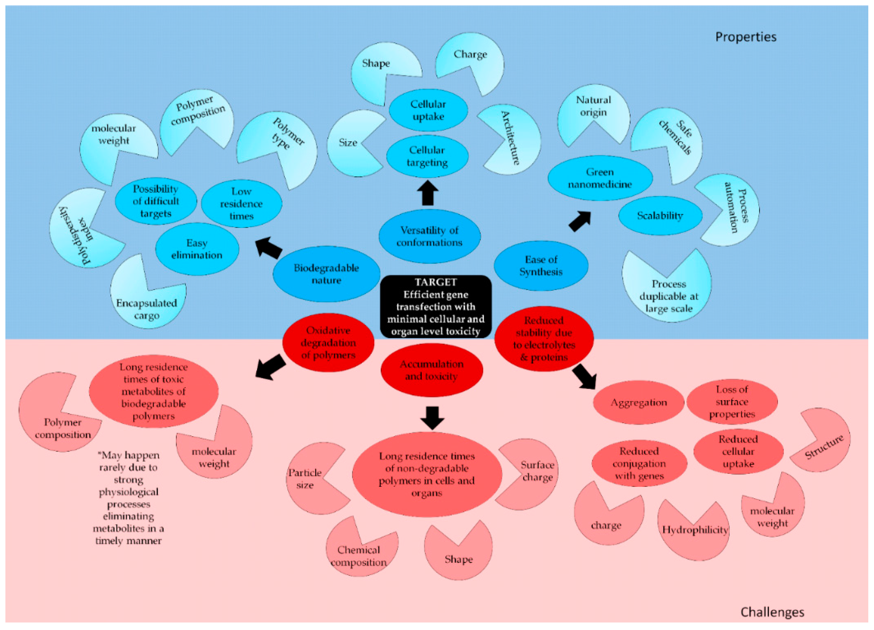 Polymers 11 00745 g010