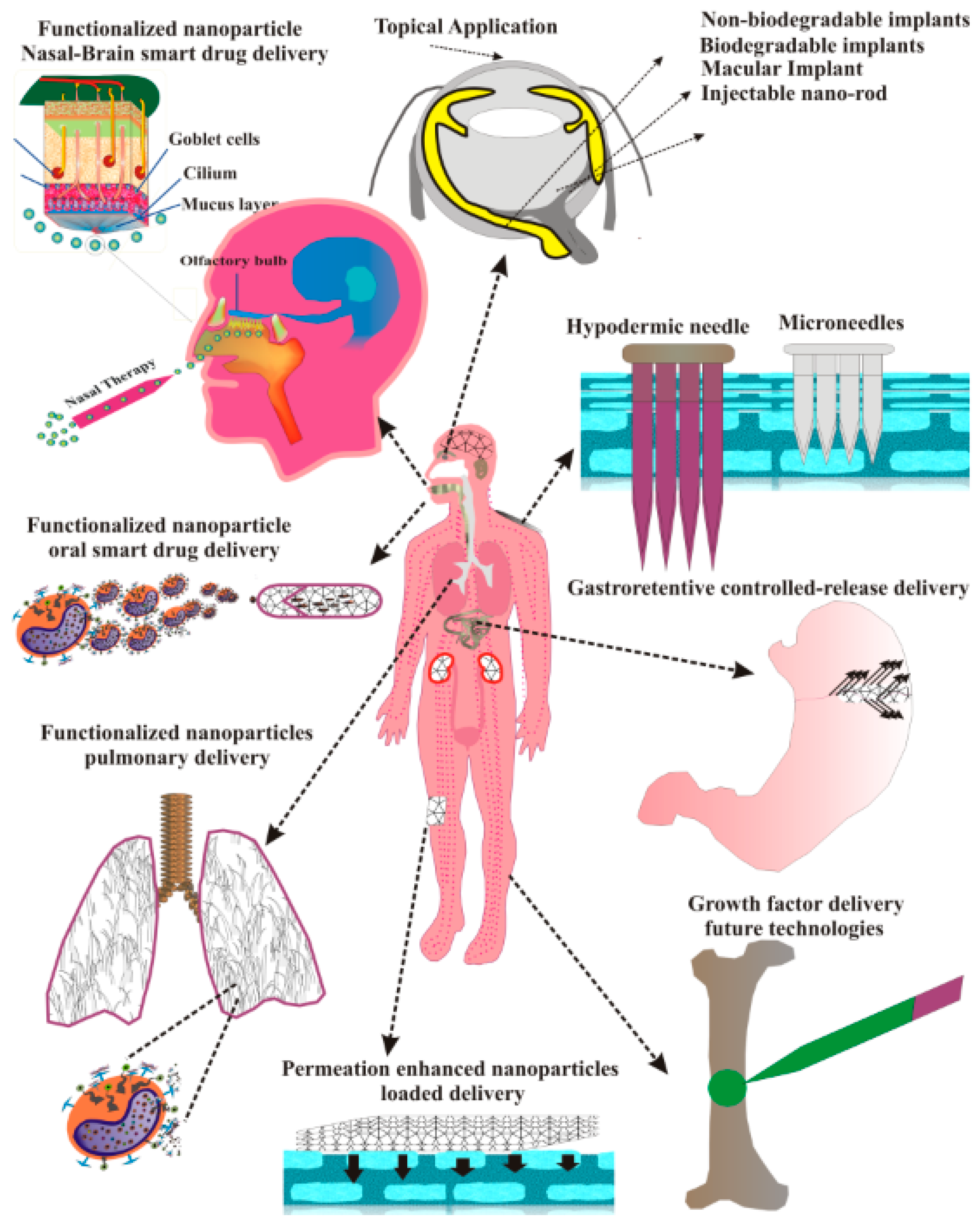 Polymers 11 00745 g011