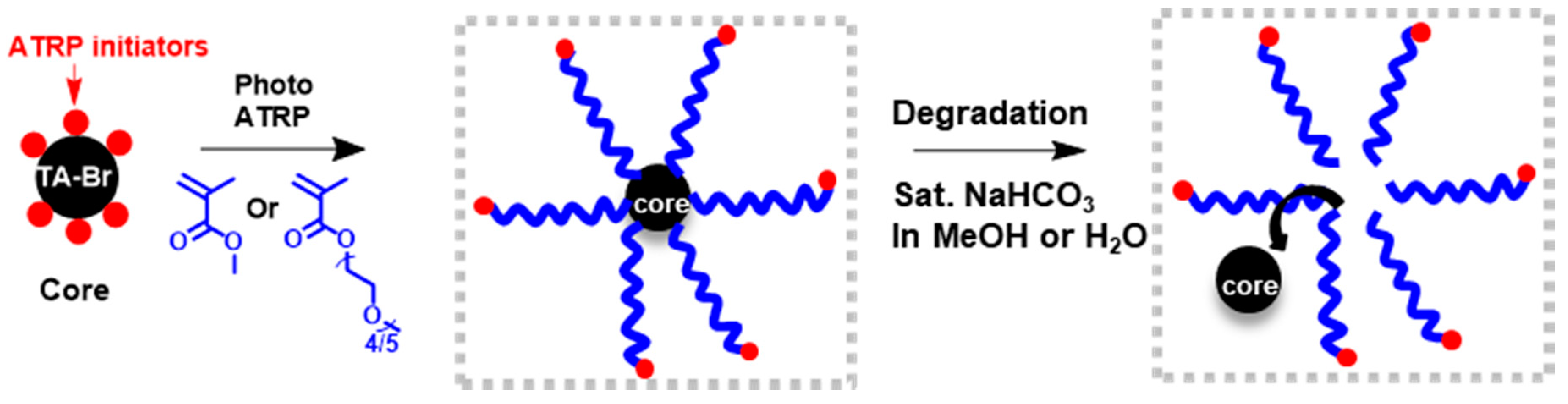 Polymers 11 00752 sch001