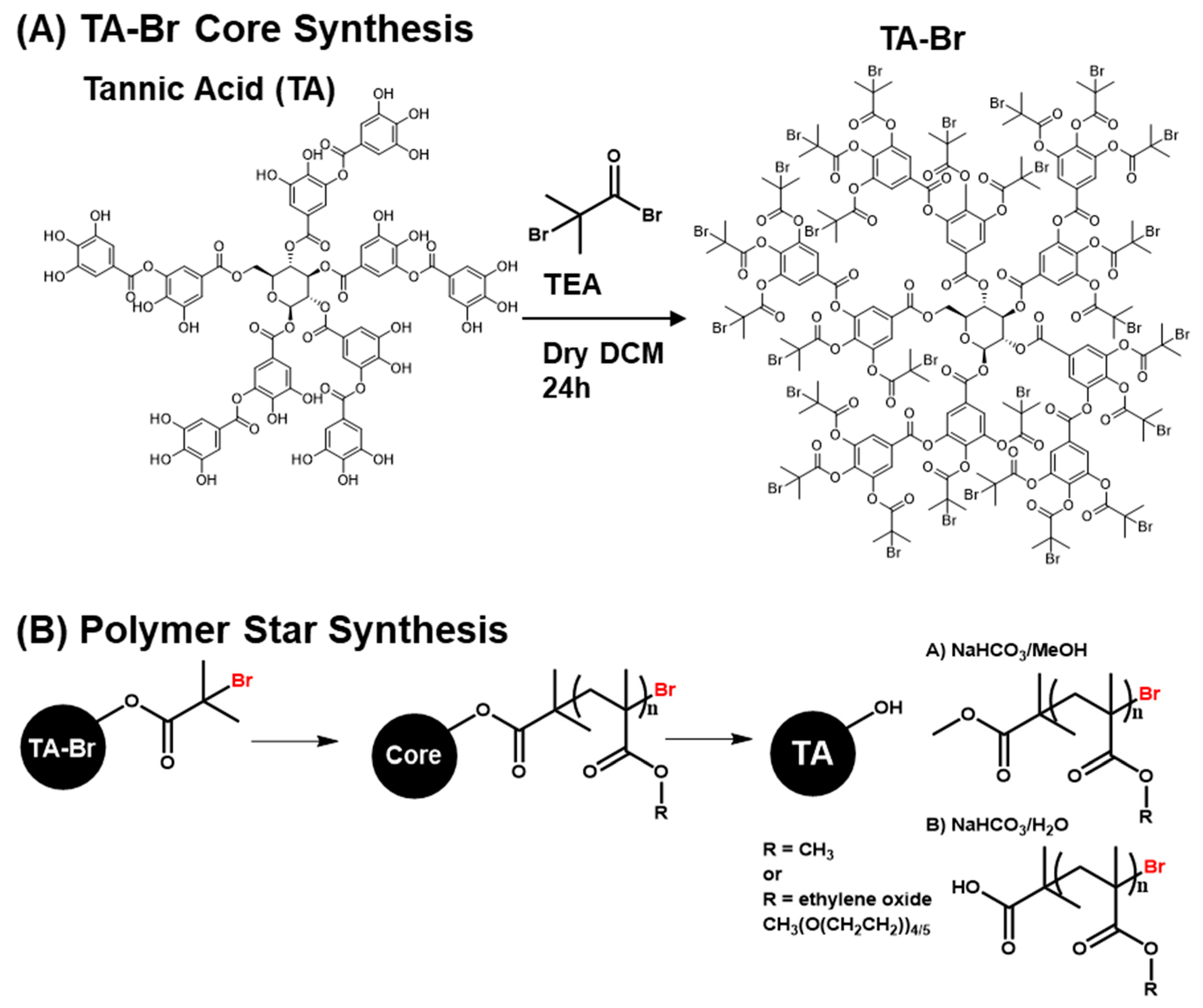Polymers 11 00752 sch002