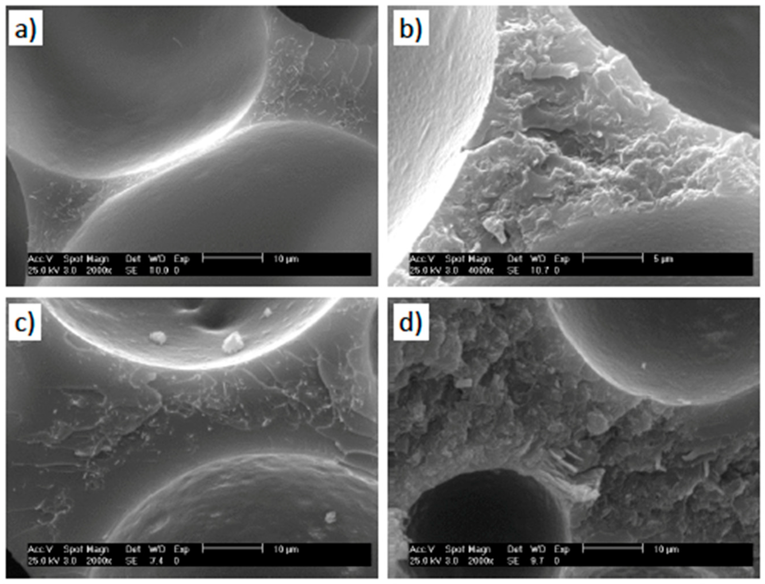 Polymers 11 00756 g005