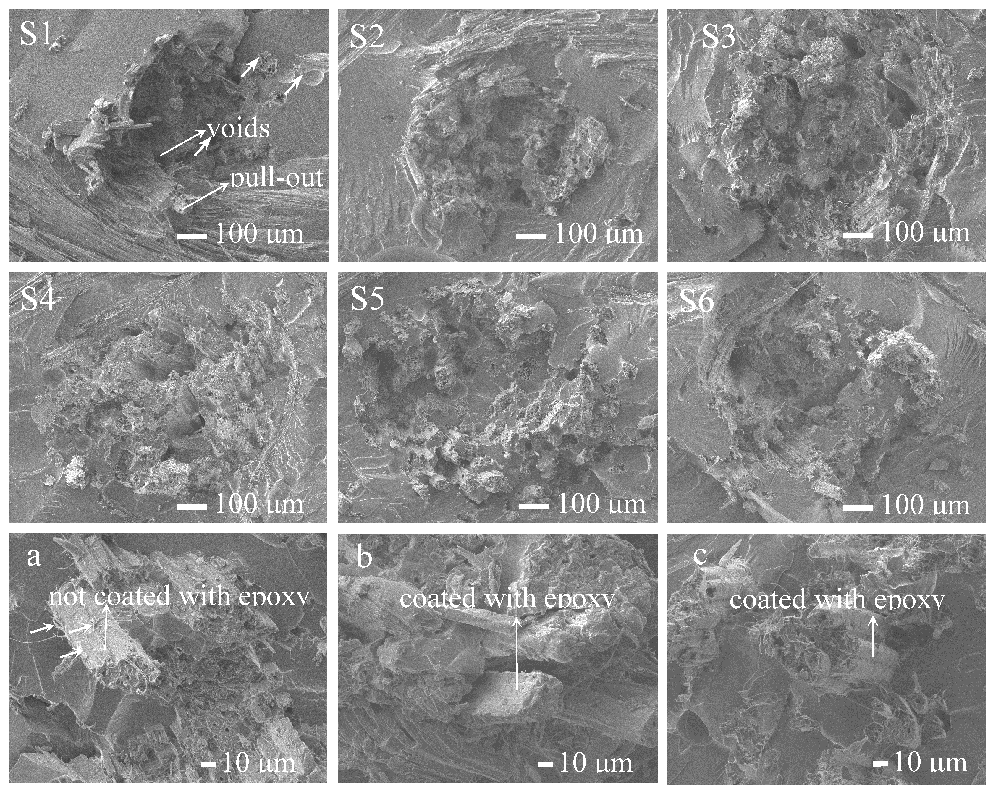 Polymers 11 00769 g007 Polymers 11 00769 g007